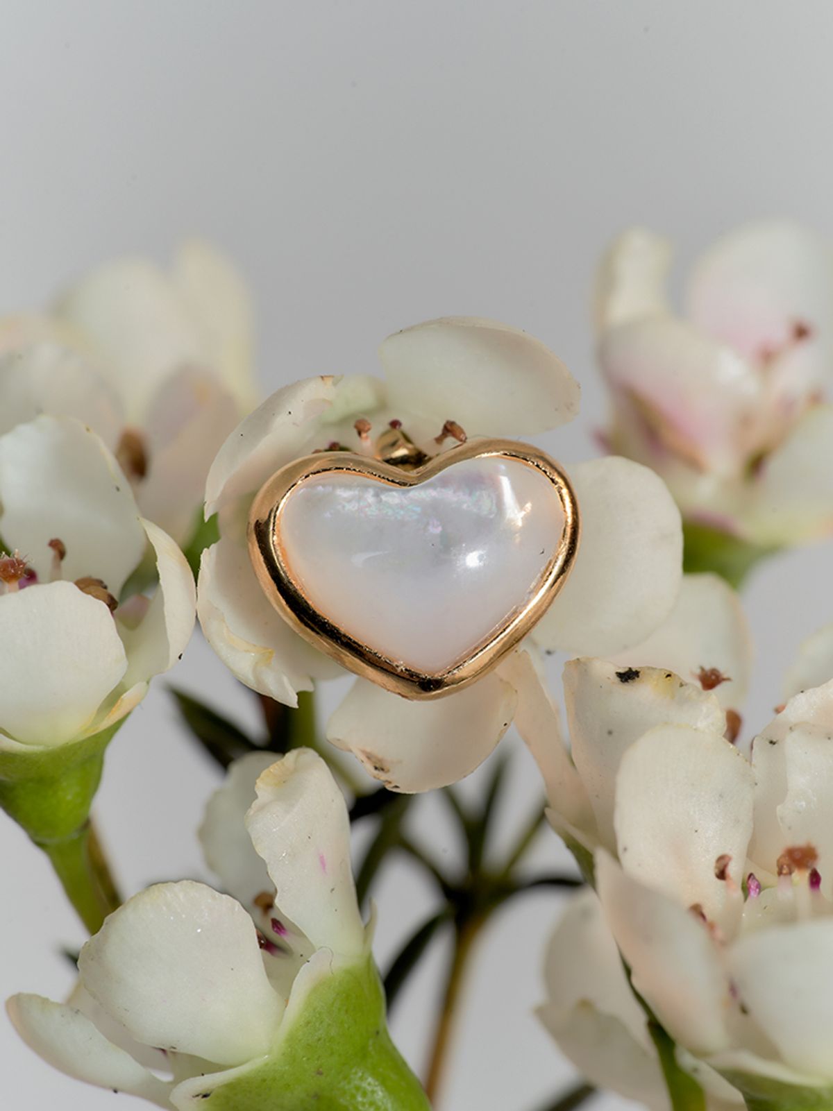 헤이(HEI) nacre heart earring