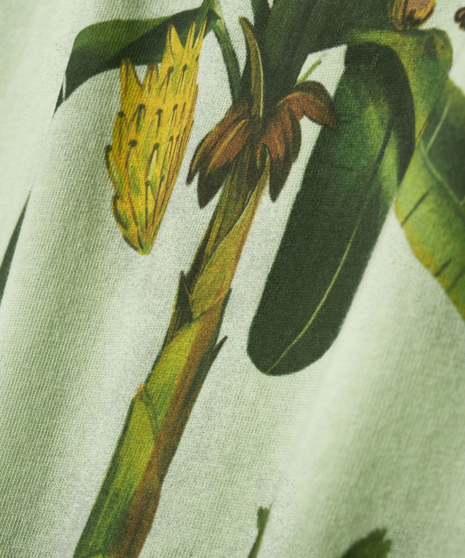 MUSINSA | SATUR Banana Tree Graphic Short-sleeved T-shirt