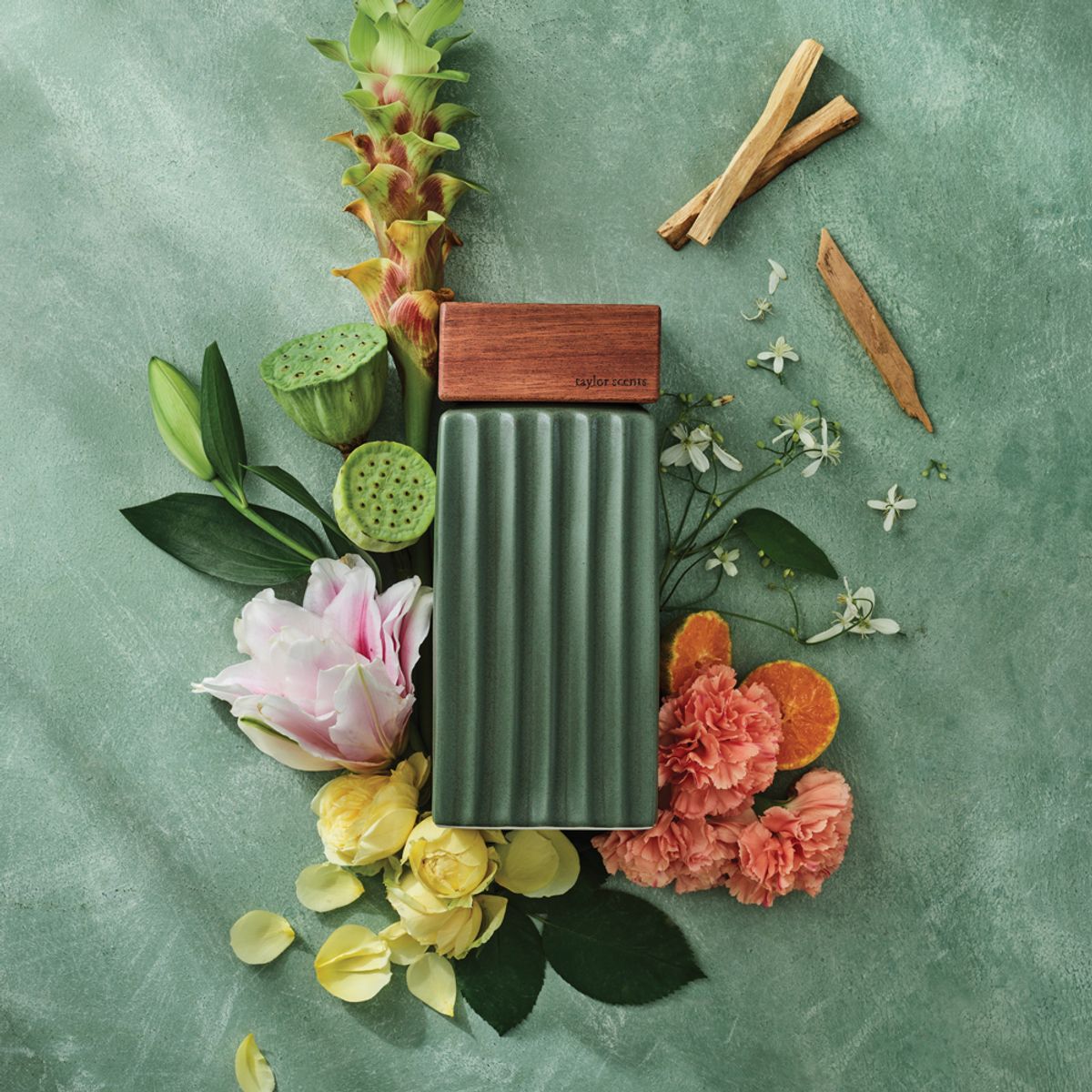 테일러센츠(TAYLOR SCENTS) 오브제 디퓨저 1L 로투스힐