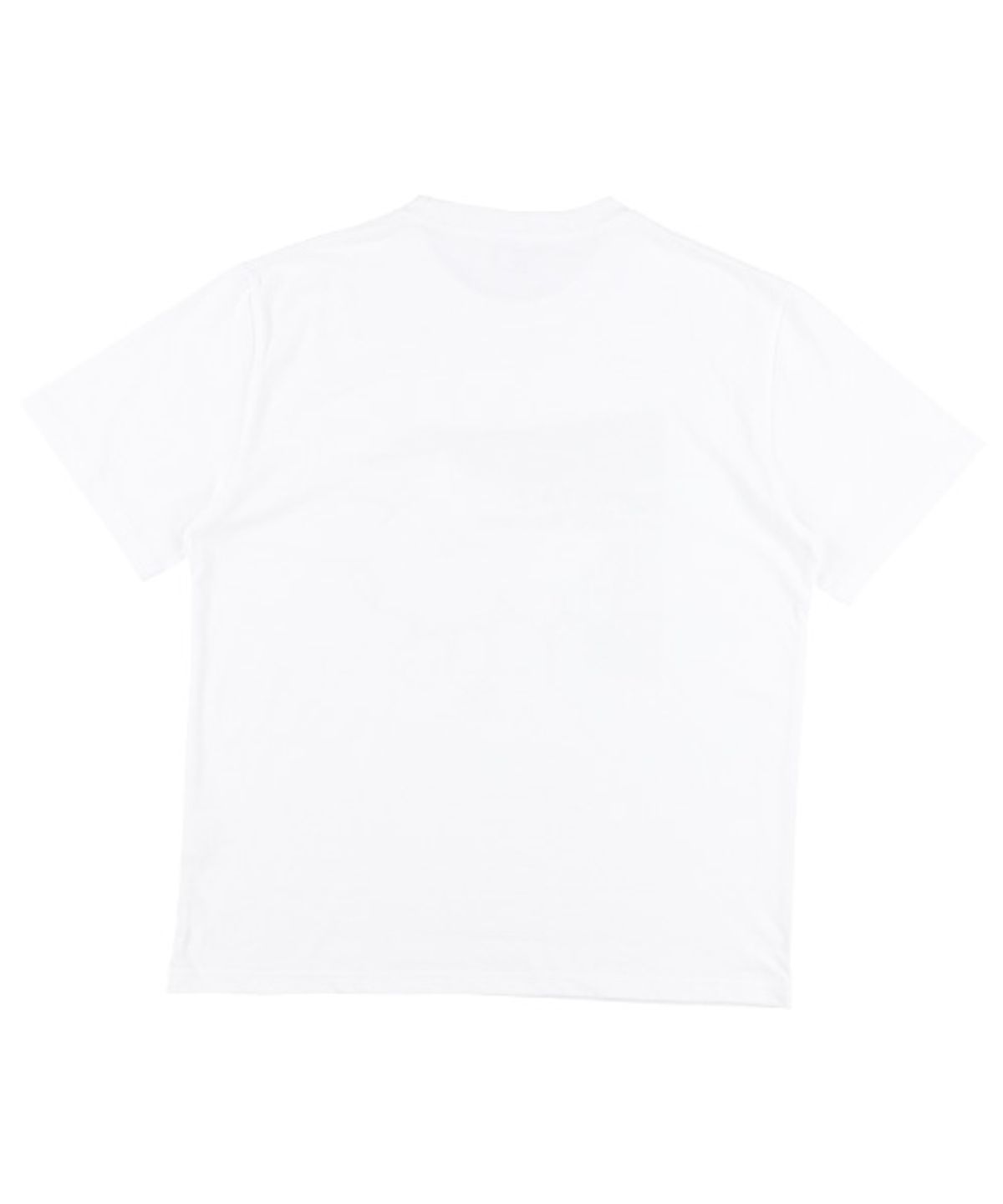 더콜디스트모먼트(THE COLDEST MOMENT) TCM flag T (white)