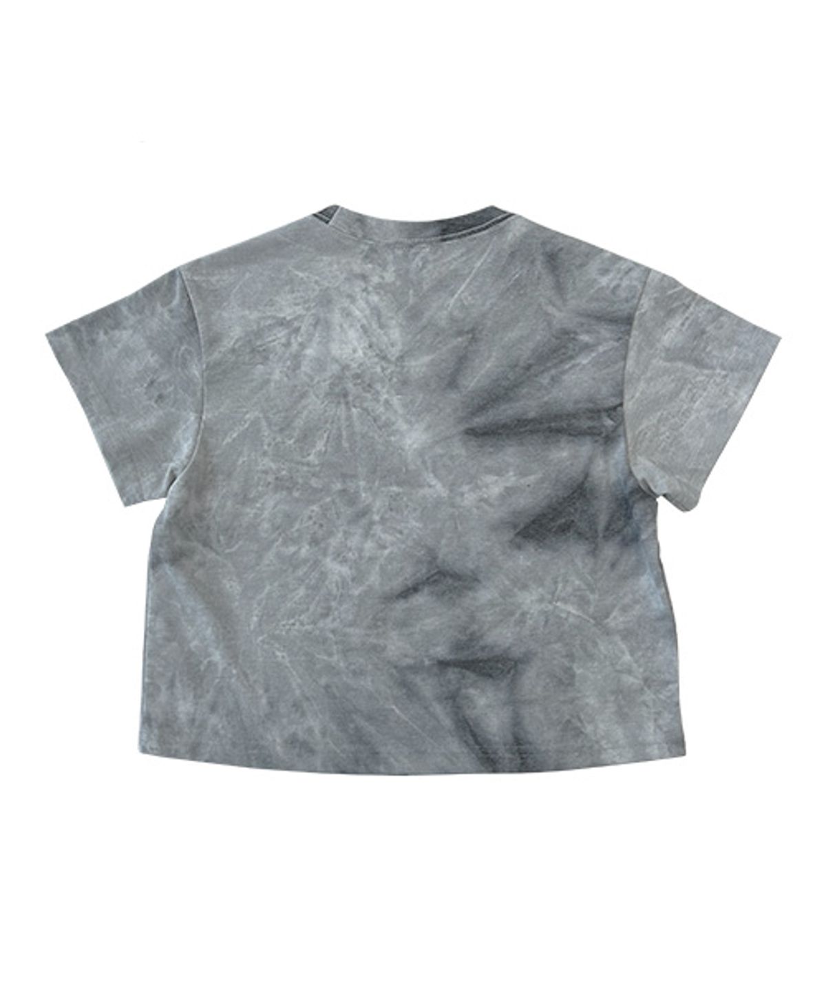 더콜디스트모먼트(THE COLDEST MOMENT) TCM dirty little freak crop T (light grey)
