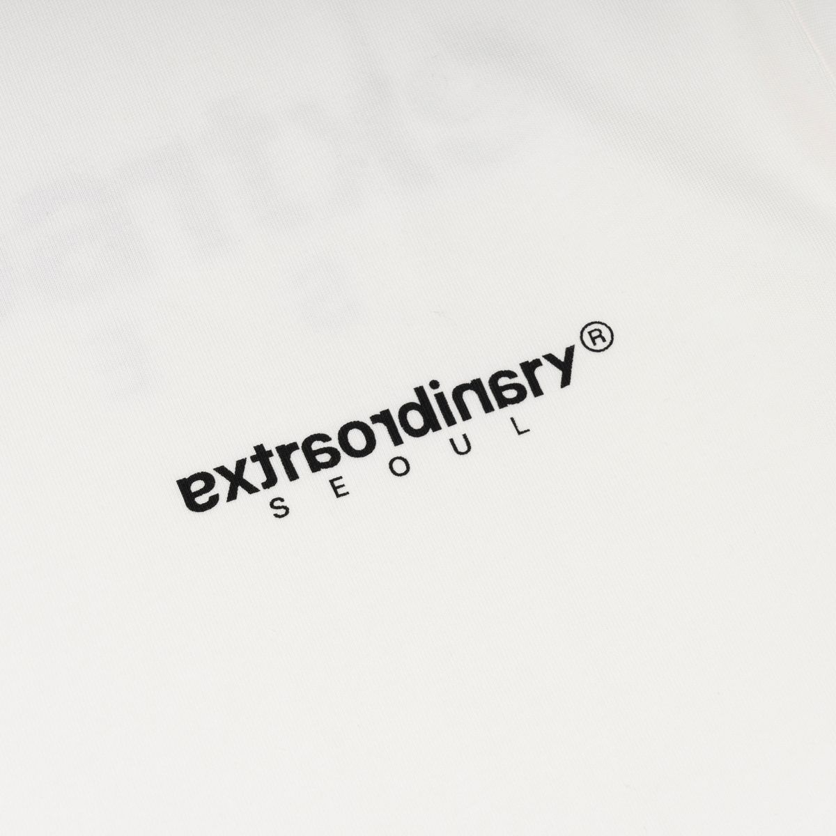 엑스트라오디너리(EXTRAORDINARY) 헤비코튼  BASIC SMALL LOGO TEE   WHITE