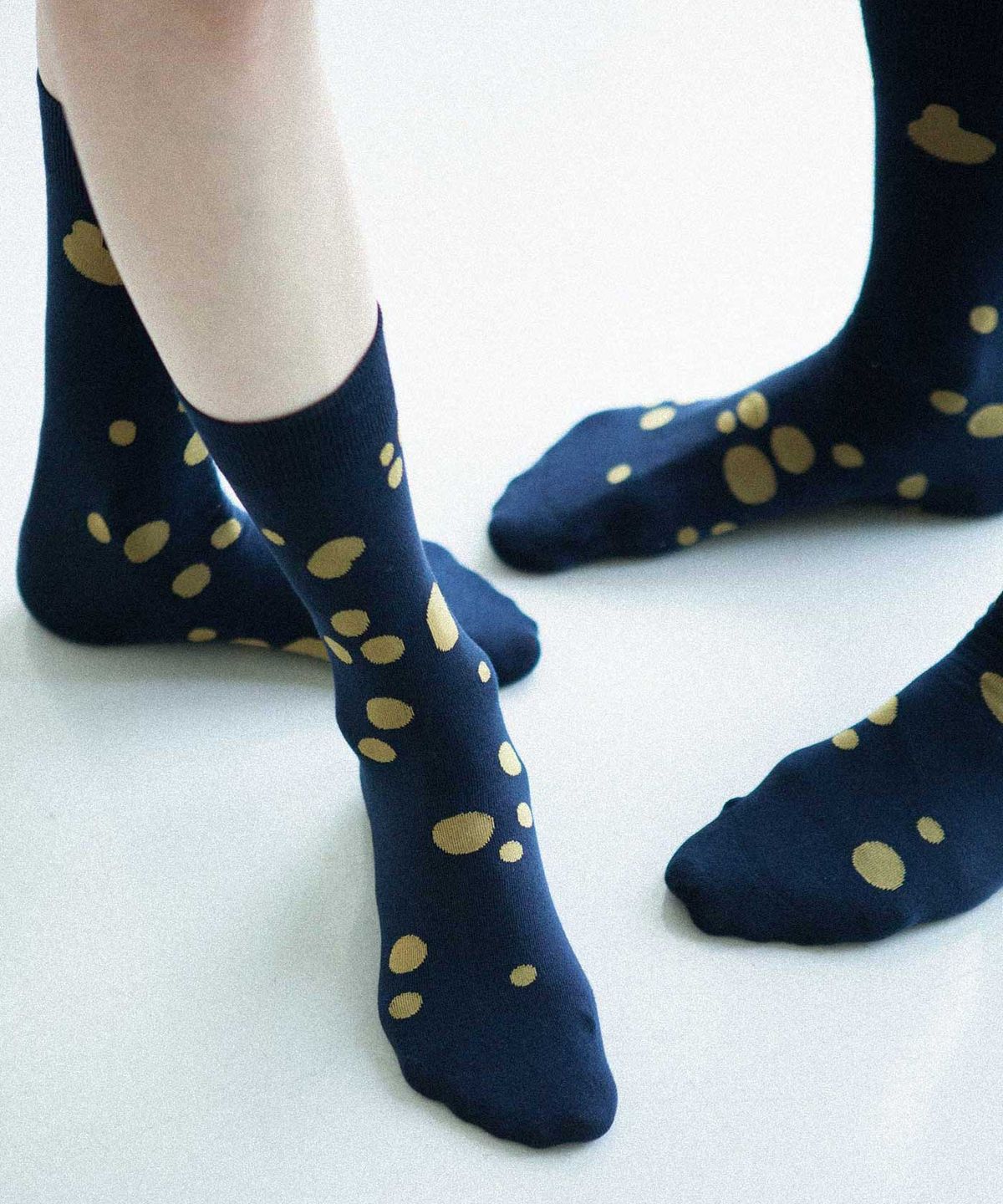 보타(VOTTA) Dalmatian 1126