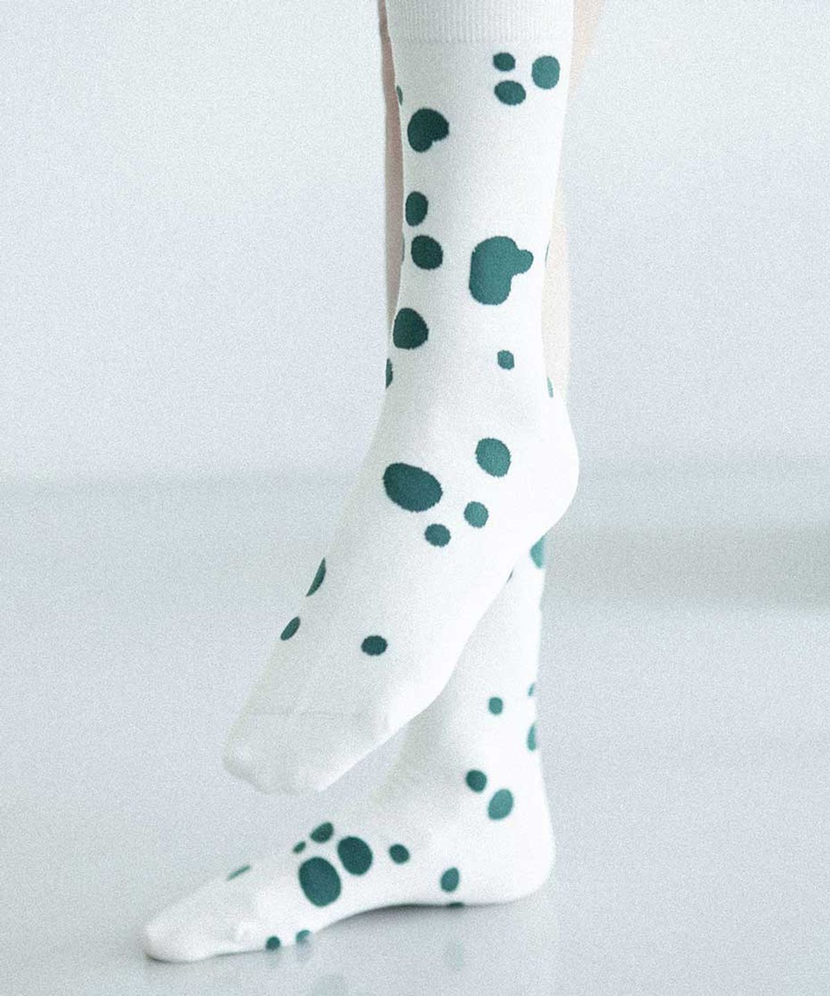 보타(VOTTA) Dalmatian 5522