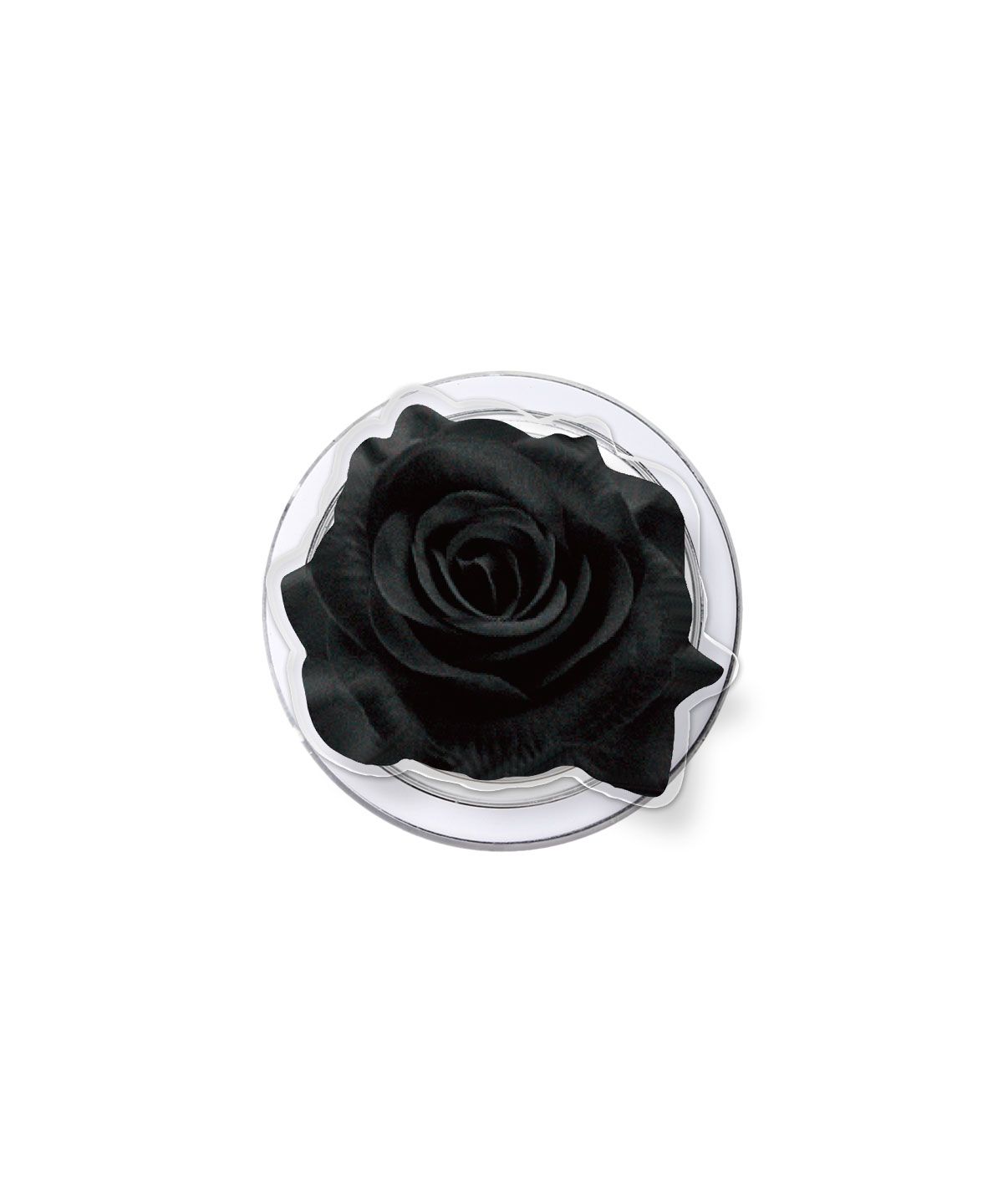 에이엠사공사(AM404) Black Rose TOK