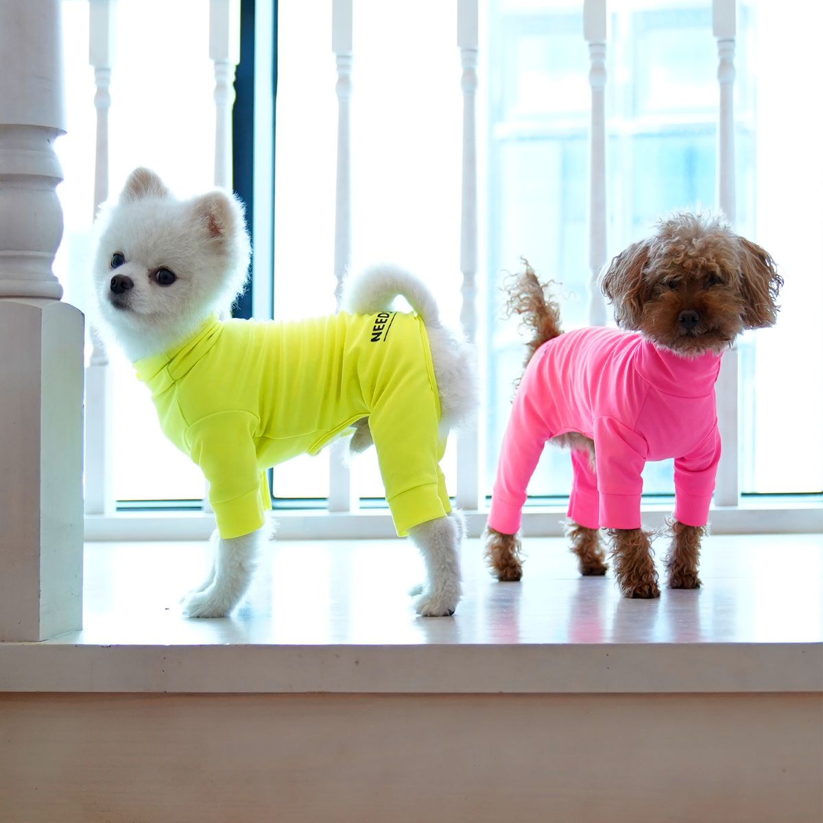 니즈더펫(NEEDS THE PET) NTP 강아지 올인원 래쉬가드
