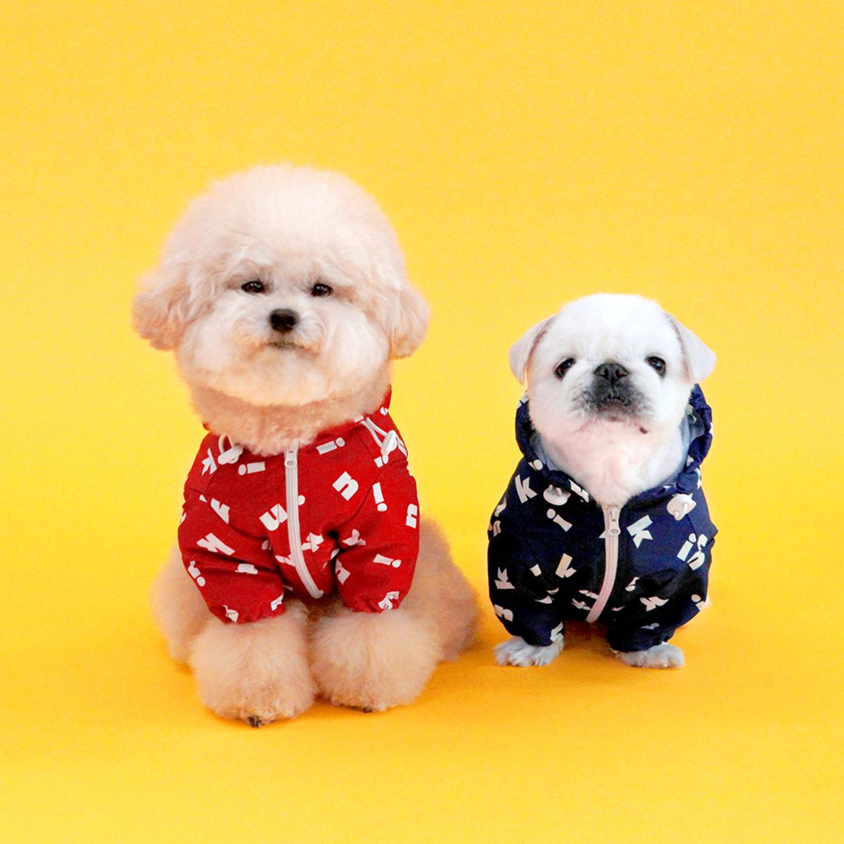 키니키니(KINIKINI) 로고 바람막이 - 3colors