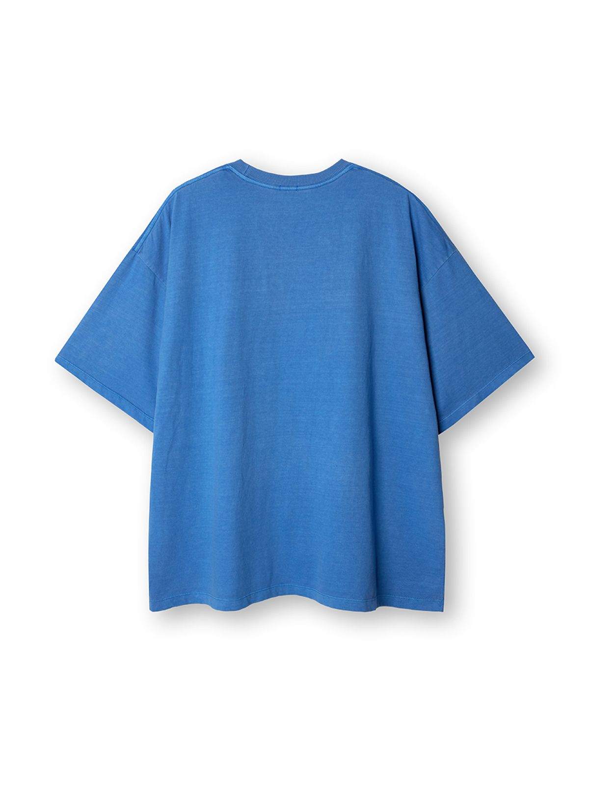 바니쉬먼트(VANISHMENT) Sport logo pigment t-shirt_blue