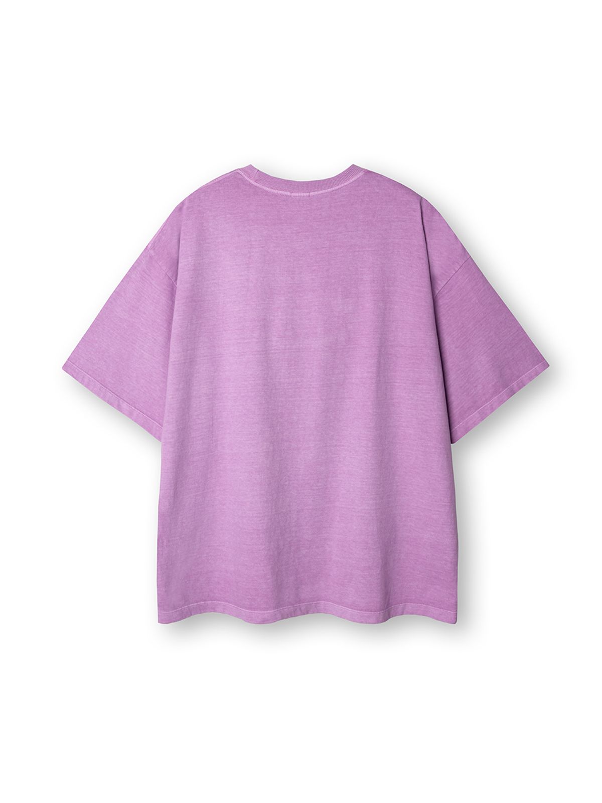 바니쉬먼트(VANISHMENT) Sport logo pigment t-shirt_pink