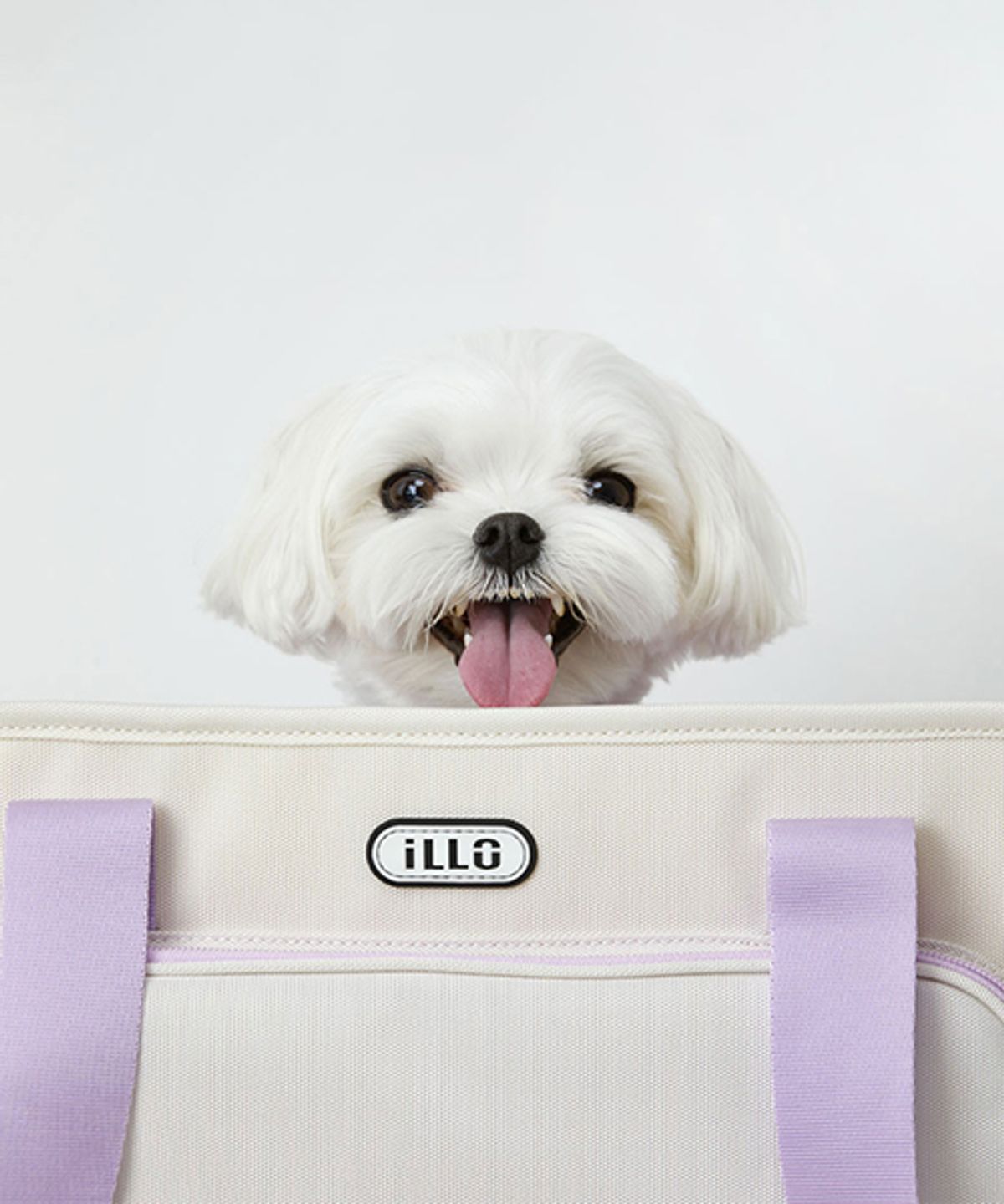 일로(ILLO) 레이백 Lay Bag