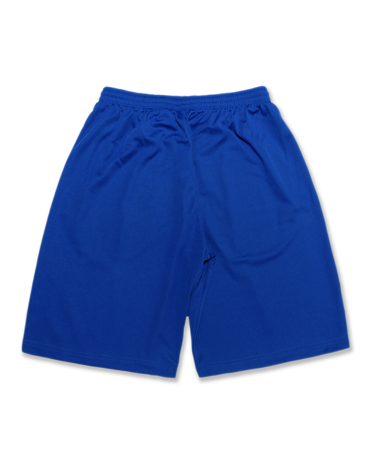 미디엄스(MEDIUMS) School Trip Mesh Shorts - Blue (수학여행 메쉬 쇼츠)