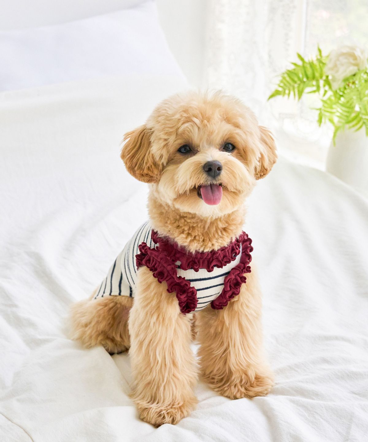 마이리틀독(MY LITTLE DOG) 치즈 스트라이프 프릴 탑[2color]