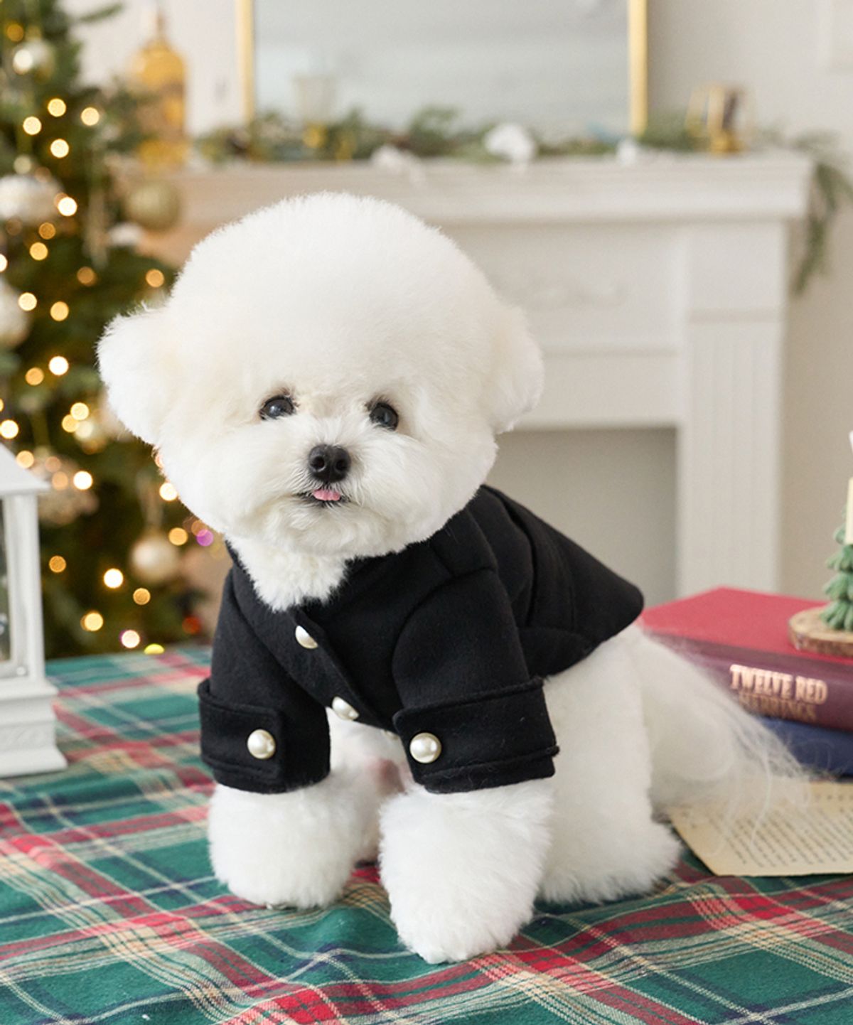마이리틀독(MY LITTLE DOG) 핸드메이드 진주 코트