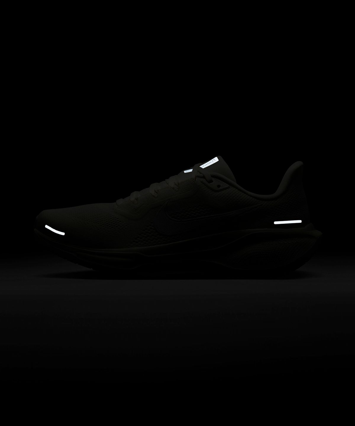 나이키(NIKE) 페가수스 41 M - 세일:코코넛 밀크 / HJ3861-133