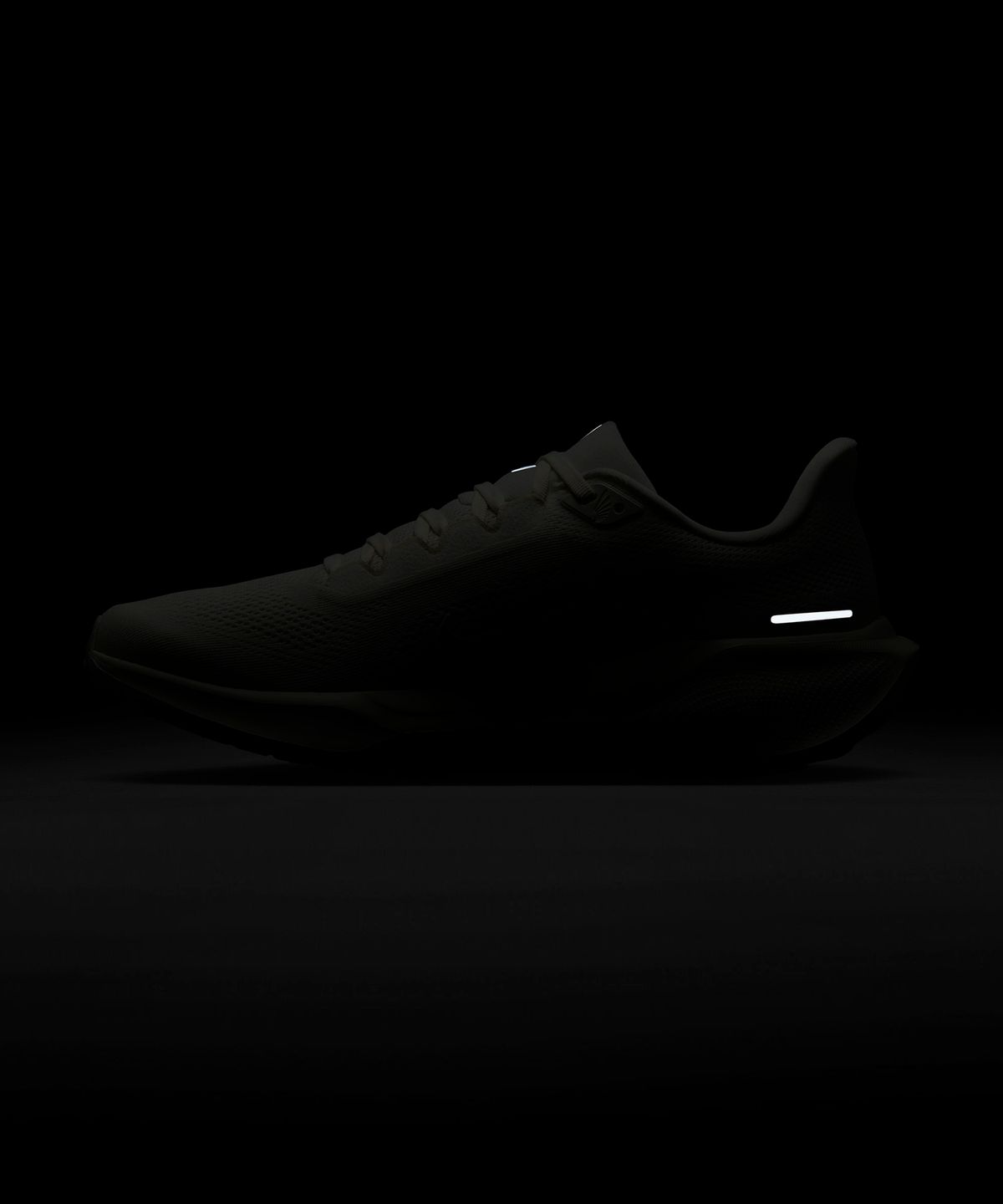 나이키(NIKE) 페가수스 41 M - 세일:코코넛 밀크 / HJ3861-133