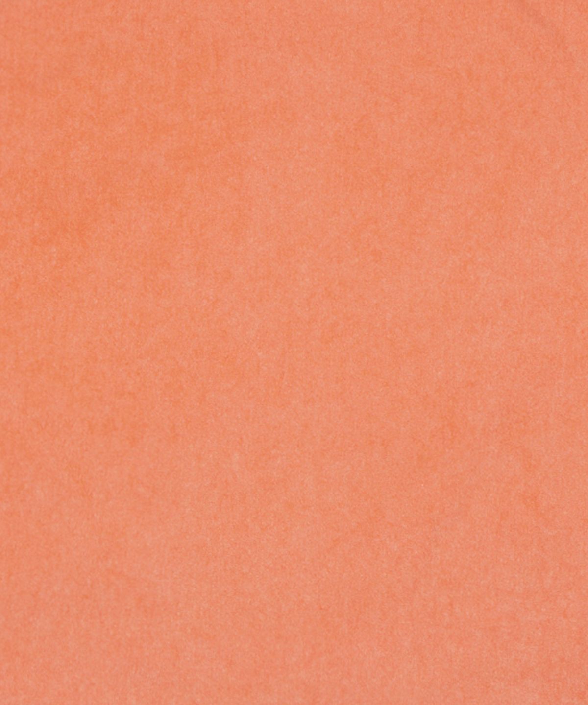 크림소다랩(CREAM SODA LAB) 스톤 워싱 피그먼트 쿼터 오렌지 블랙