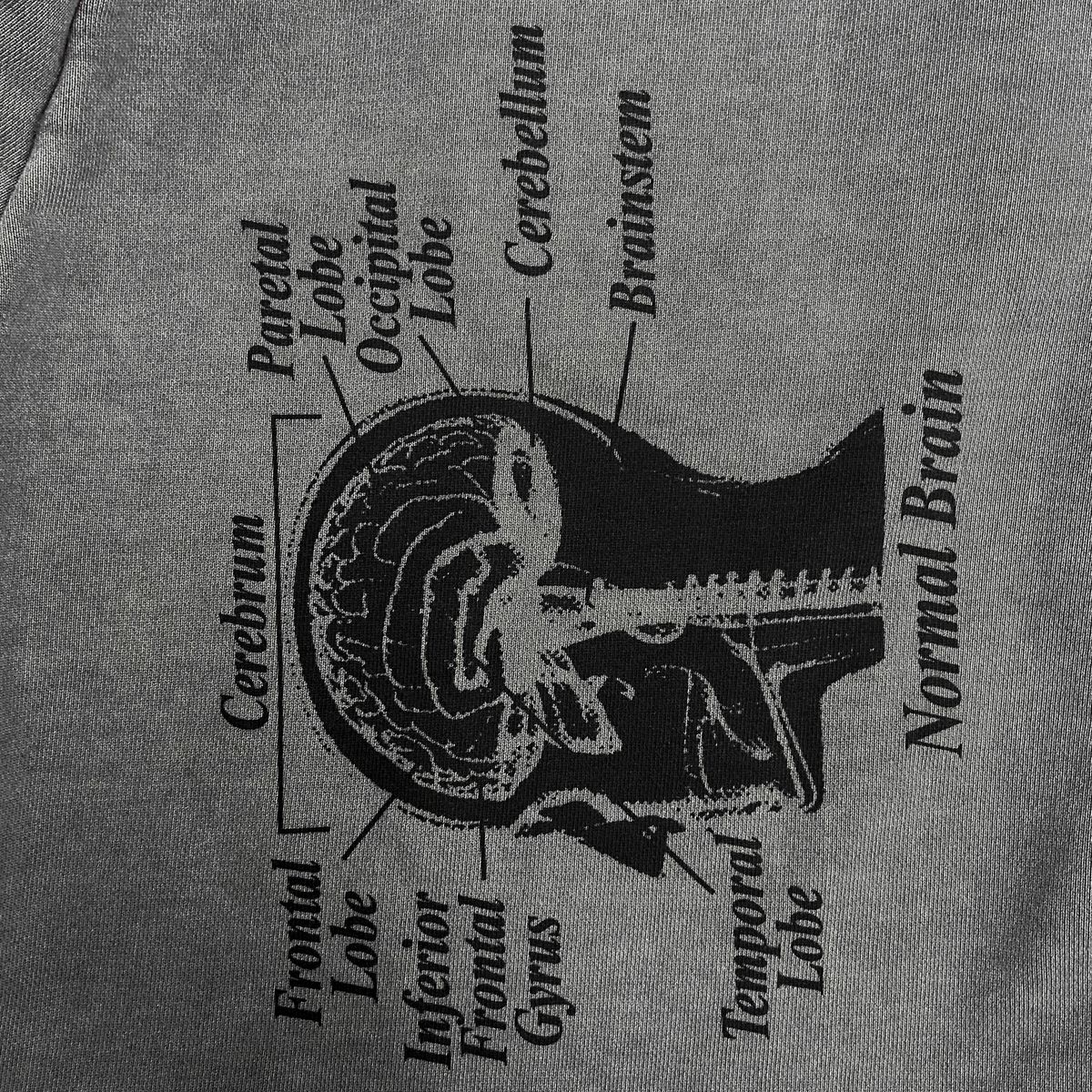 디파이클럽로버스(DEFYCLUBROBBERS) Rock and Roll Brain pigment sweat shorts