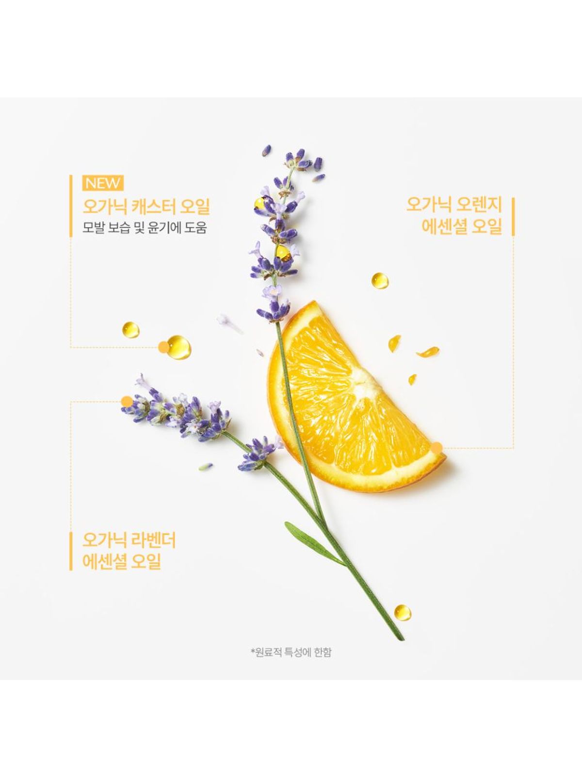 르네휘테르(RENE FURTERER) 콤플렉스 5 50ml NEW