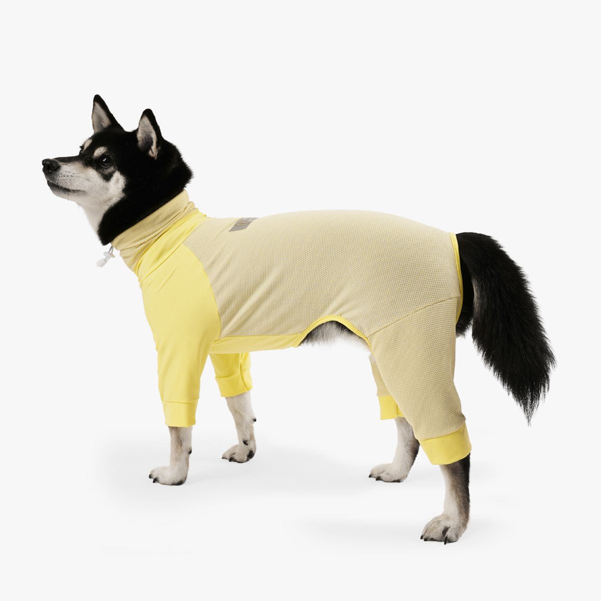 니즈더펫(NEEDS THE PET) 인터라켄 강아지 올인원 쿨피트웨어