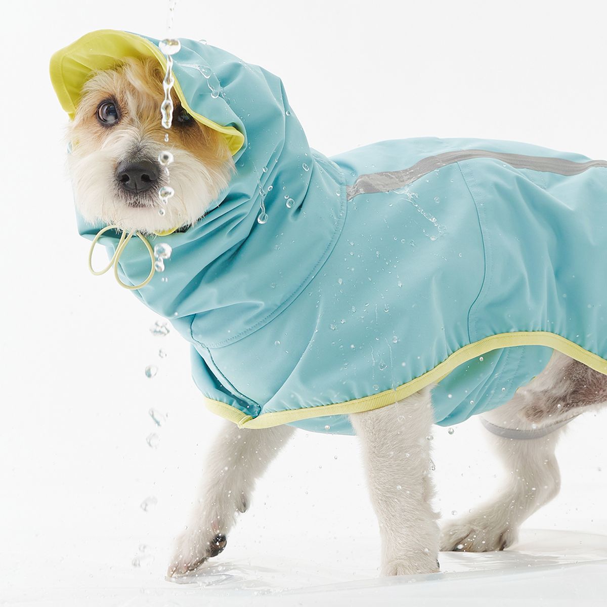 뮤니쿤트(MUNIKUND) 레인러너 블루레몬