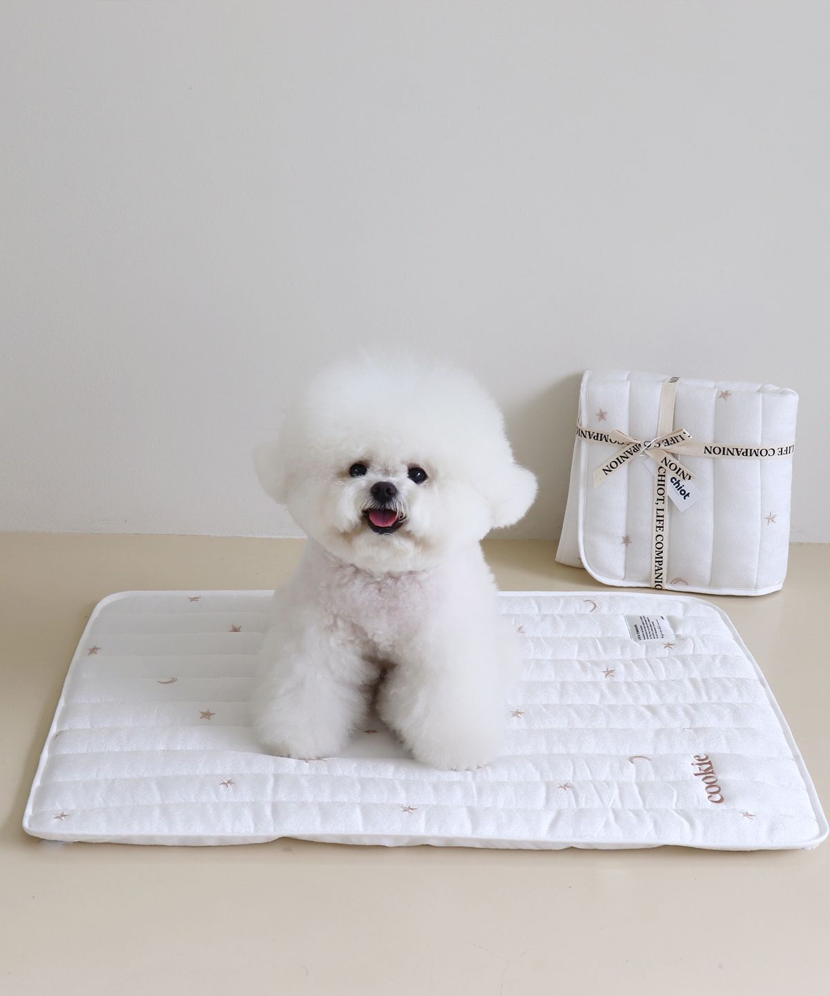 쉬오트(CHIOT) 리프레쉬 인견 쿨매트 (별&달)