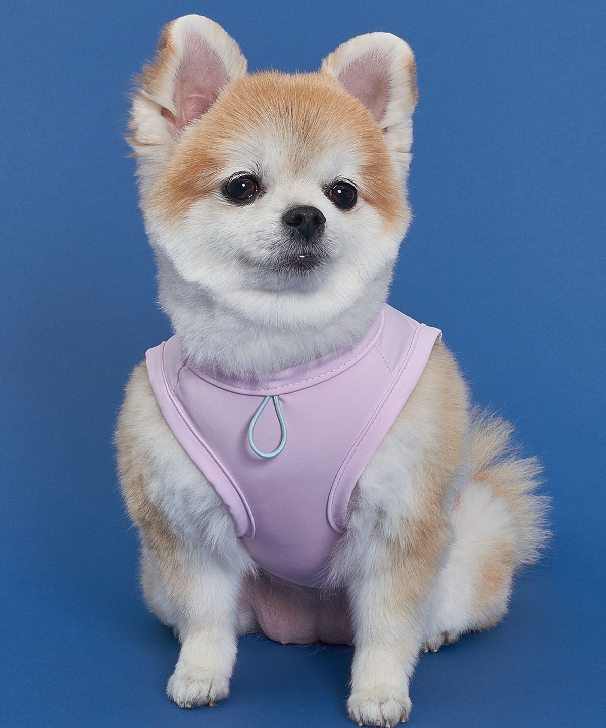 도그아이(DOGI) 강아지여름옷 쿨링 아이스 쿨티 핑크