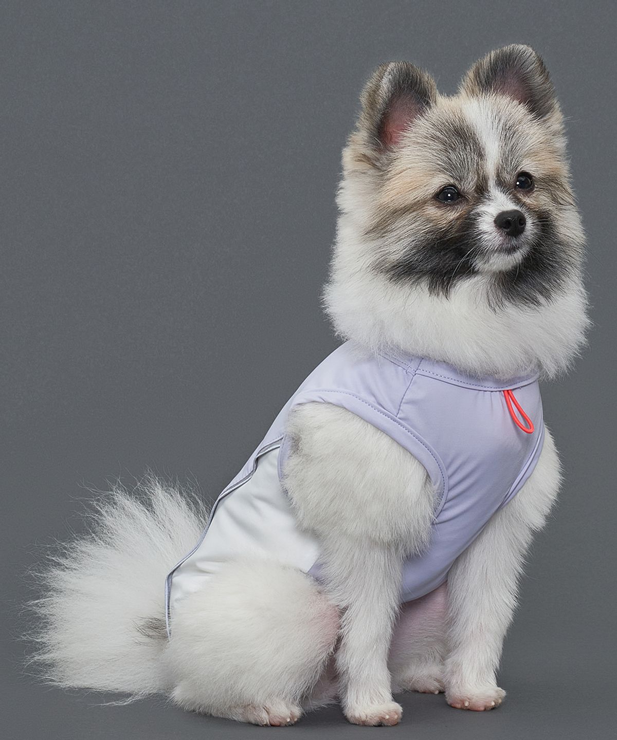 도그아이(DOGI) 강아지여름옷 쿨링 아이스 쿨티 퍼플