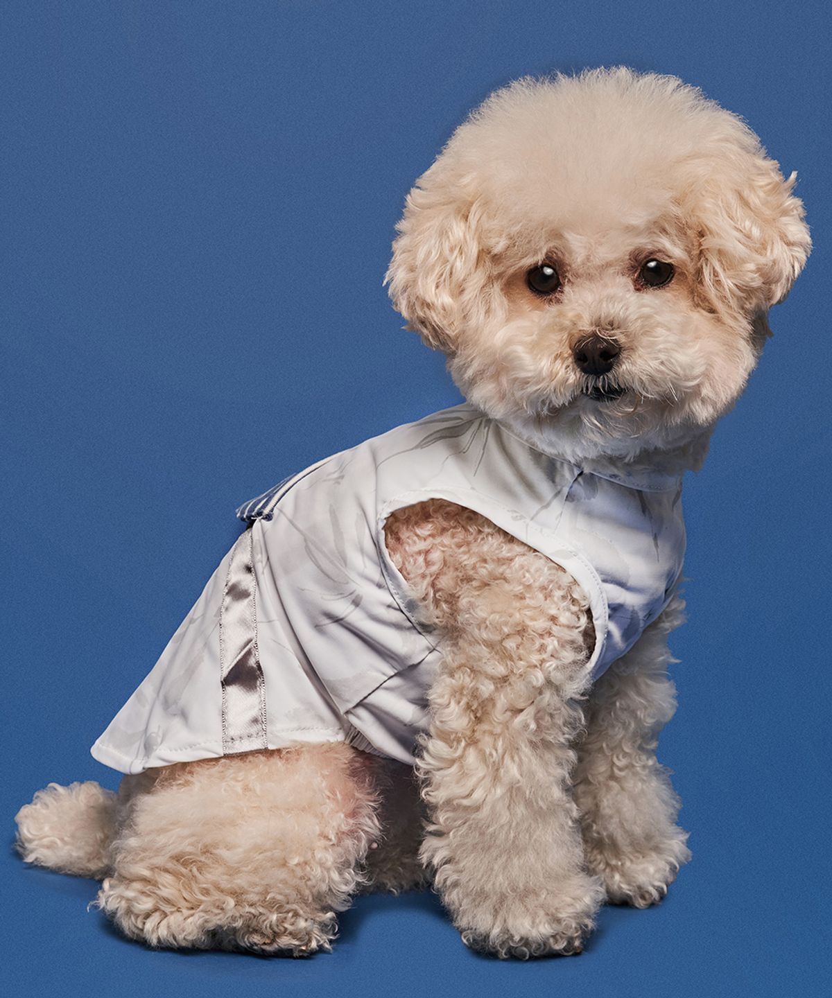 도그아이(DOGI) 강아지여름옷 쿨링 포켓쿨팩티 그레이