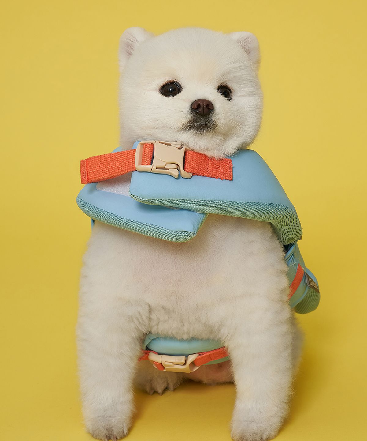 도그아이(DOGI) 애견 조이플 구명조끼 오션블루