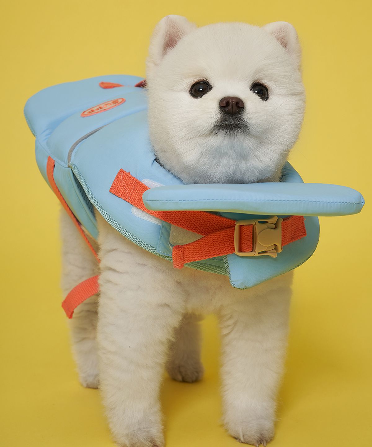 도그아이(DOGI) 애견 조이플 구명조끼 오션블루