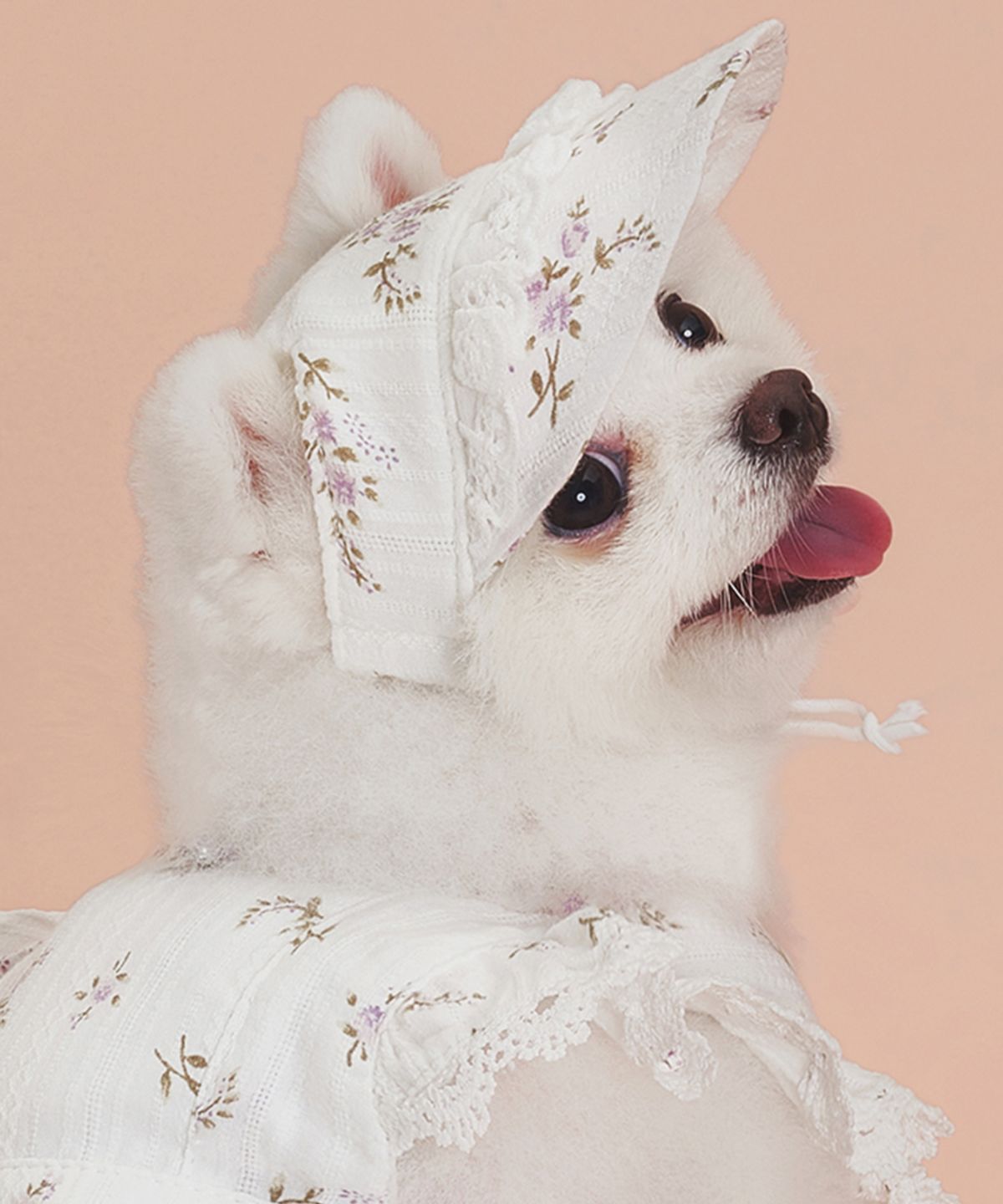 도그아이(DOGI) 반려동물 랏셀모자 바이올렛
