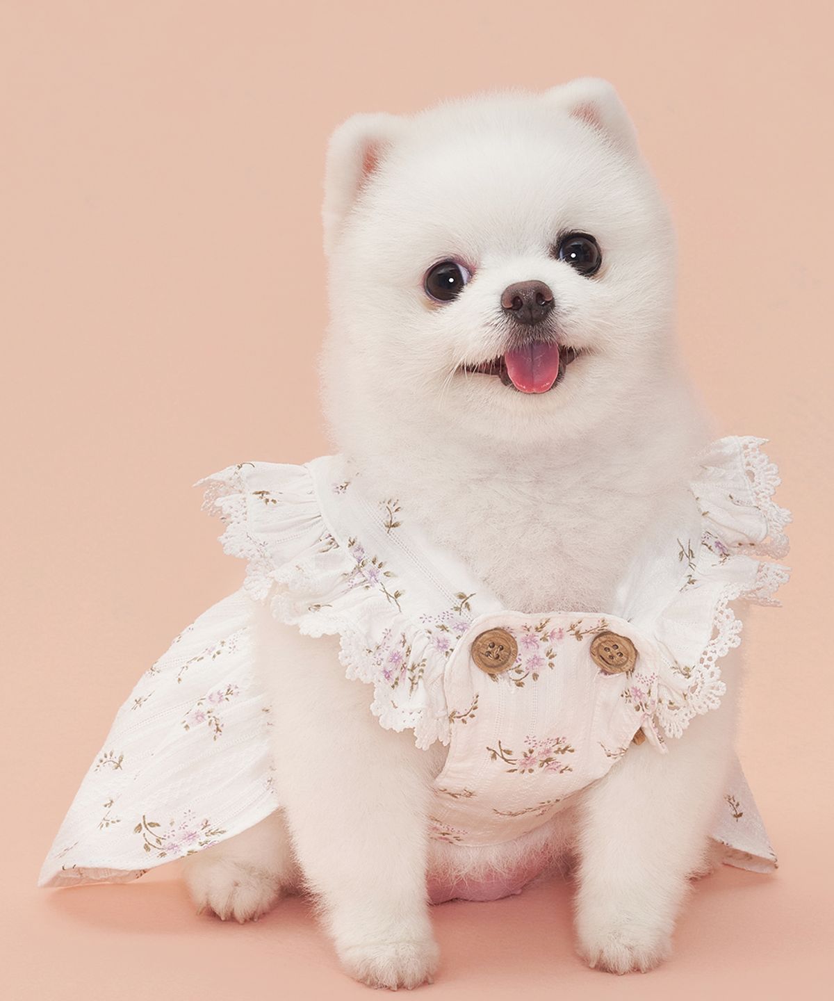 도그아이(DOGI) 강아지 랏셀 원피스 바이올렛