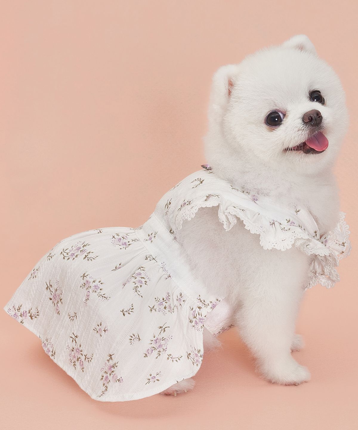도그아이(DOGI) 강아지 랏셀 원피스 바이올렛