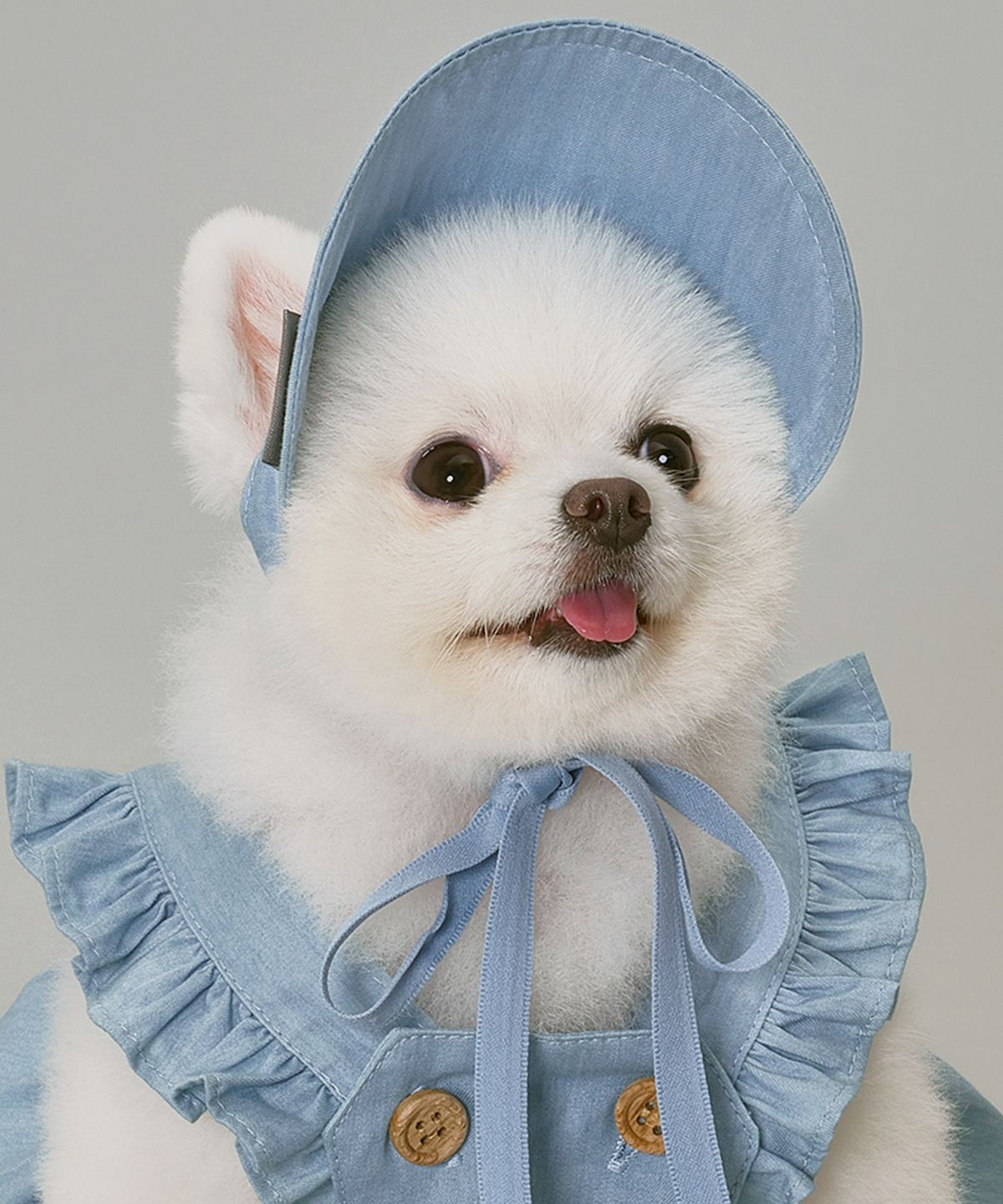 도그아이(DOGI) 강아지 데님썬캡 연청