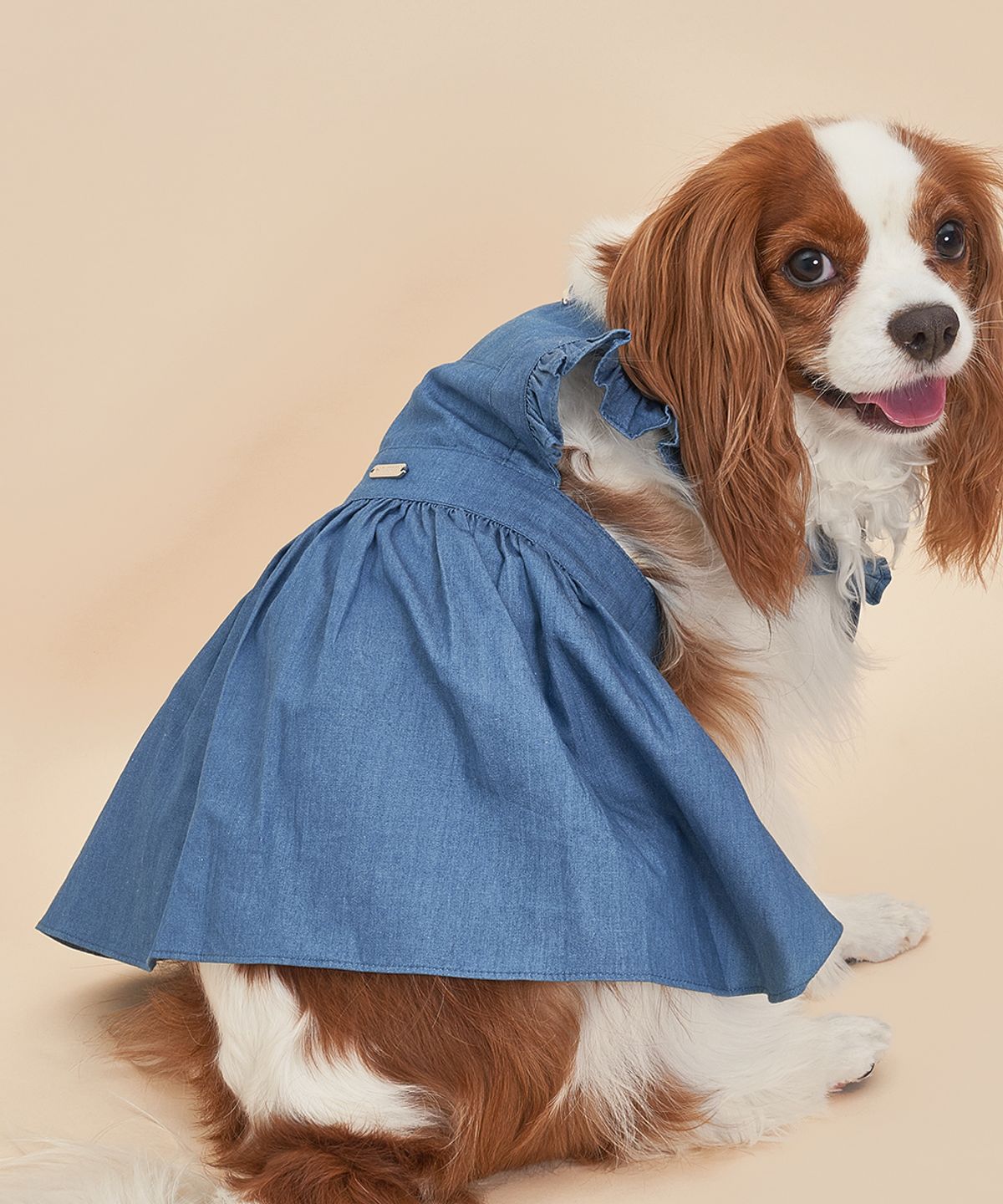 도그아이(DOGI) 강아지 데님 원피스 진청