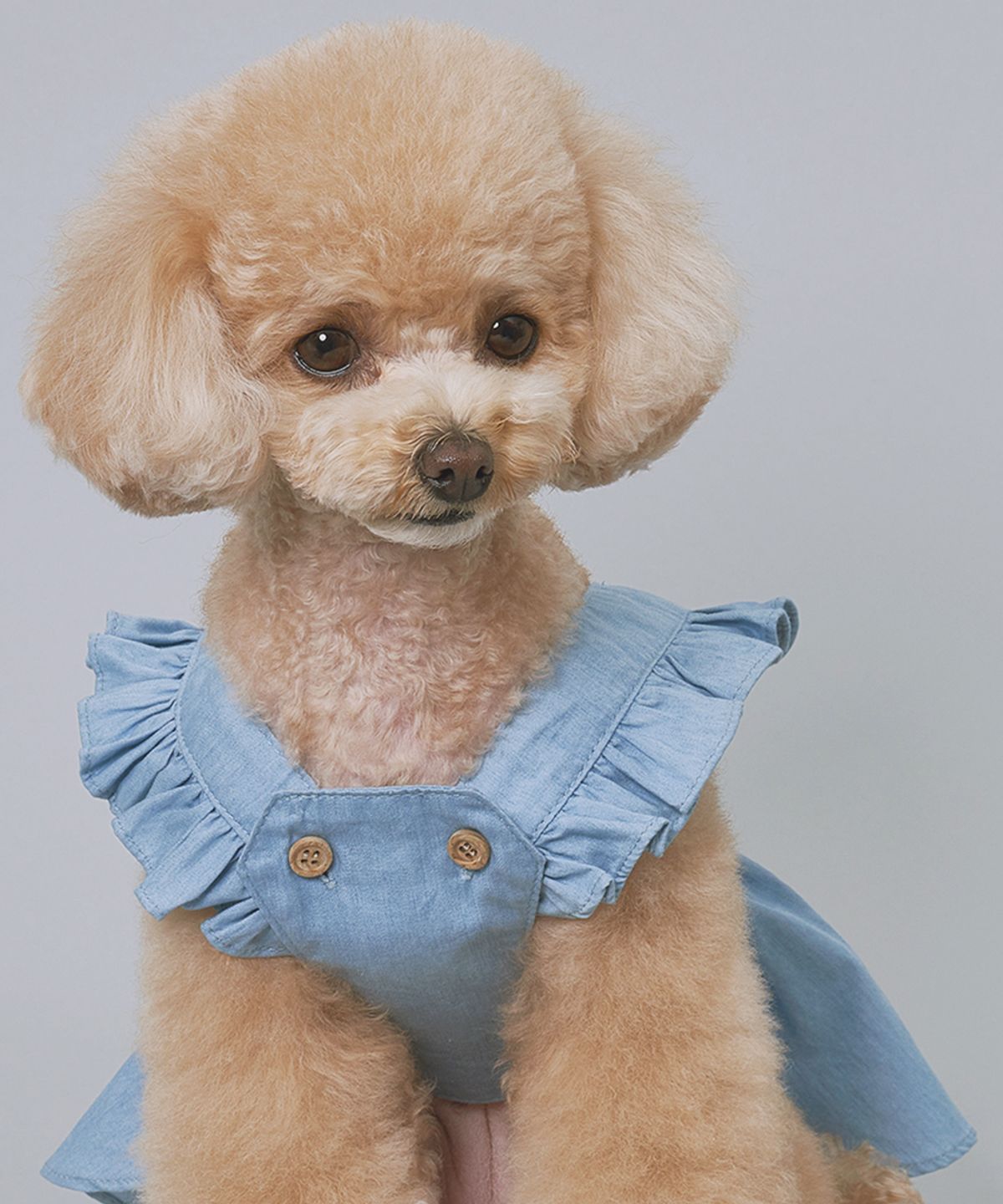 도그아이(DOGI) 강아지 데님 원피스 연청