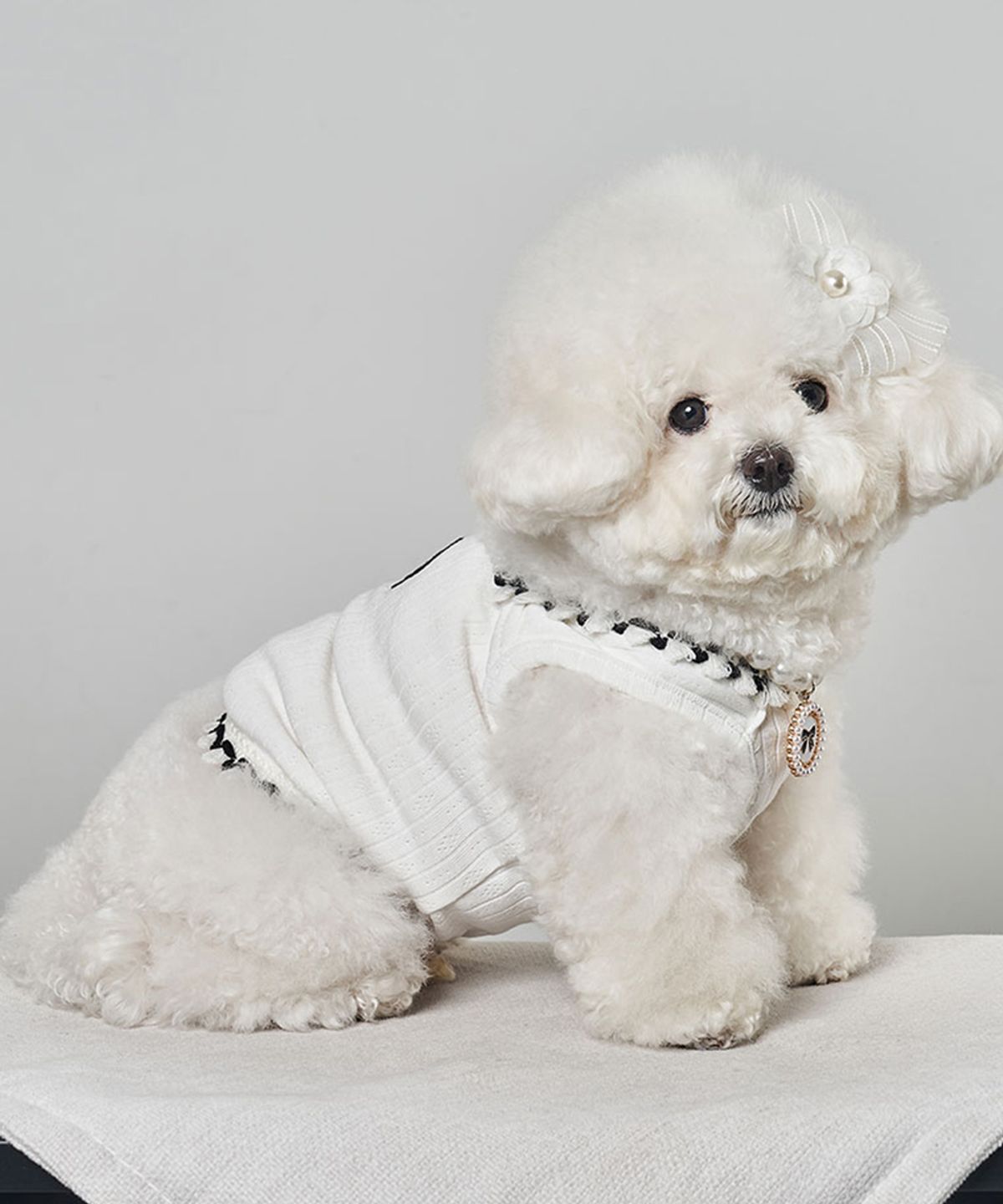 베일리(BAILEY) 강아지 코코 스퀘어 나시 화이트