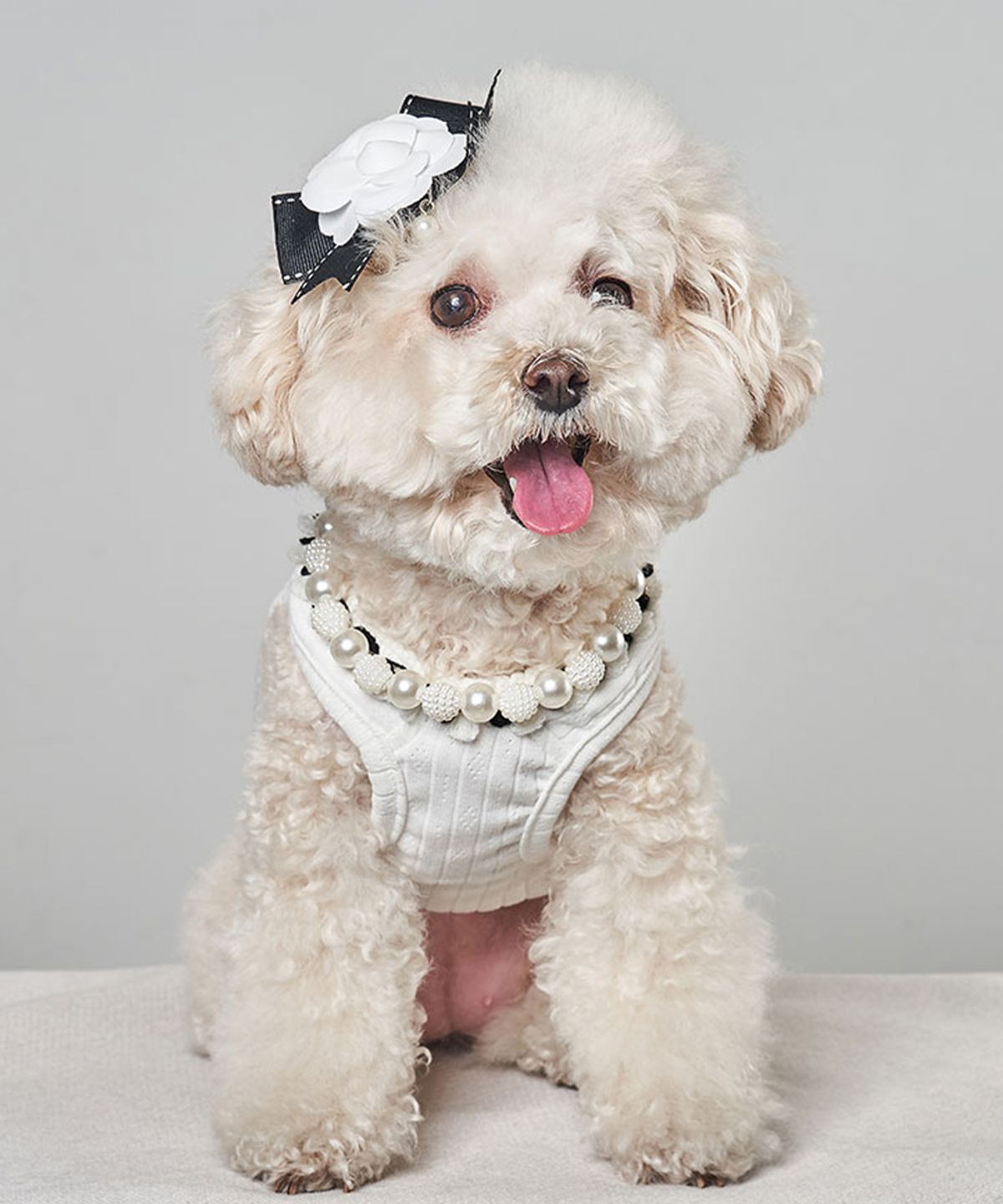 베일리(BAILEY) 강아지 코코 스퀘어 나시 화이트