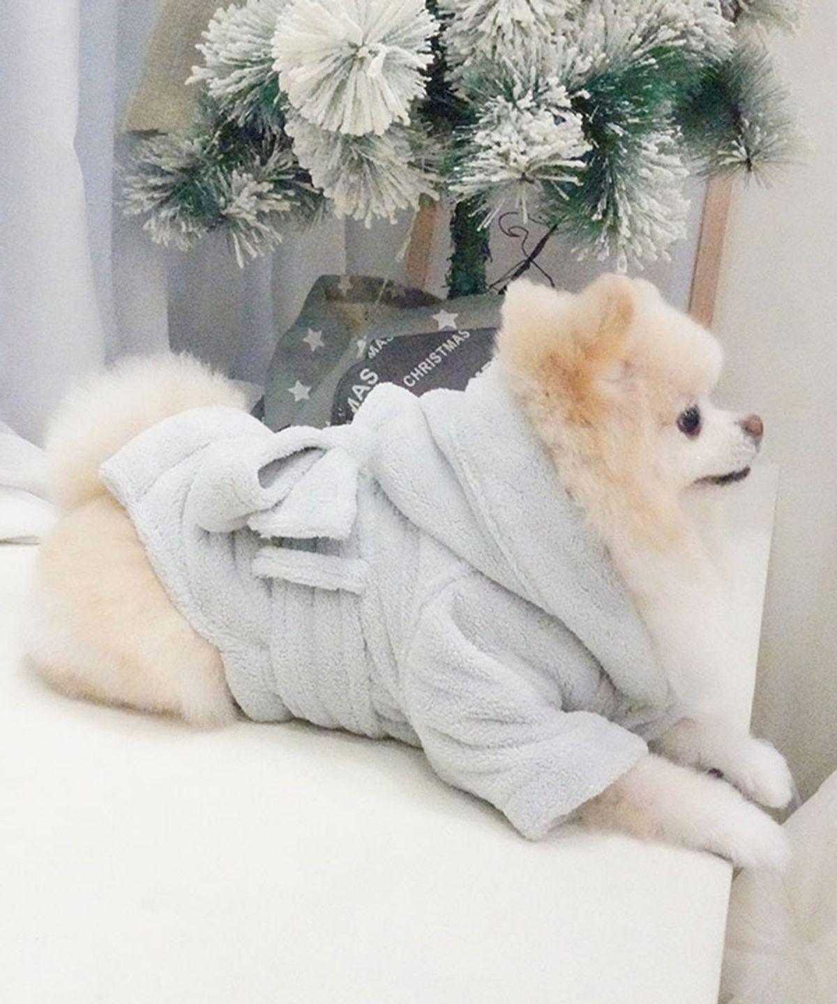 베일리(BAILEY) 강아지 펫타올 배쓰 스튜디오 그레이