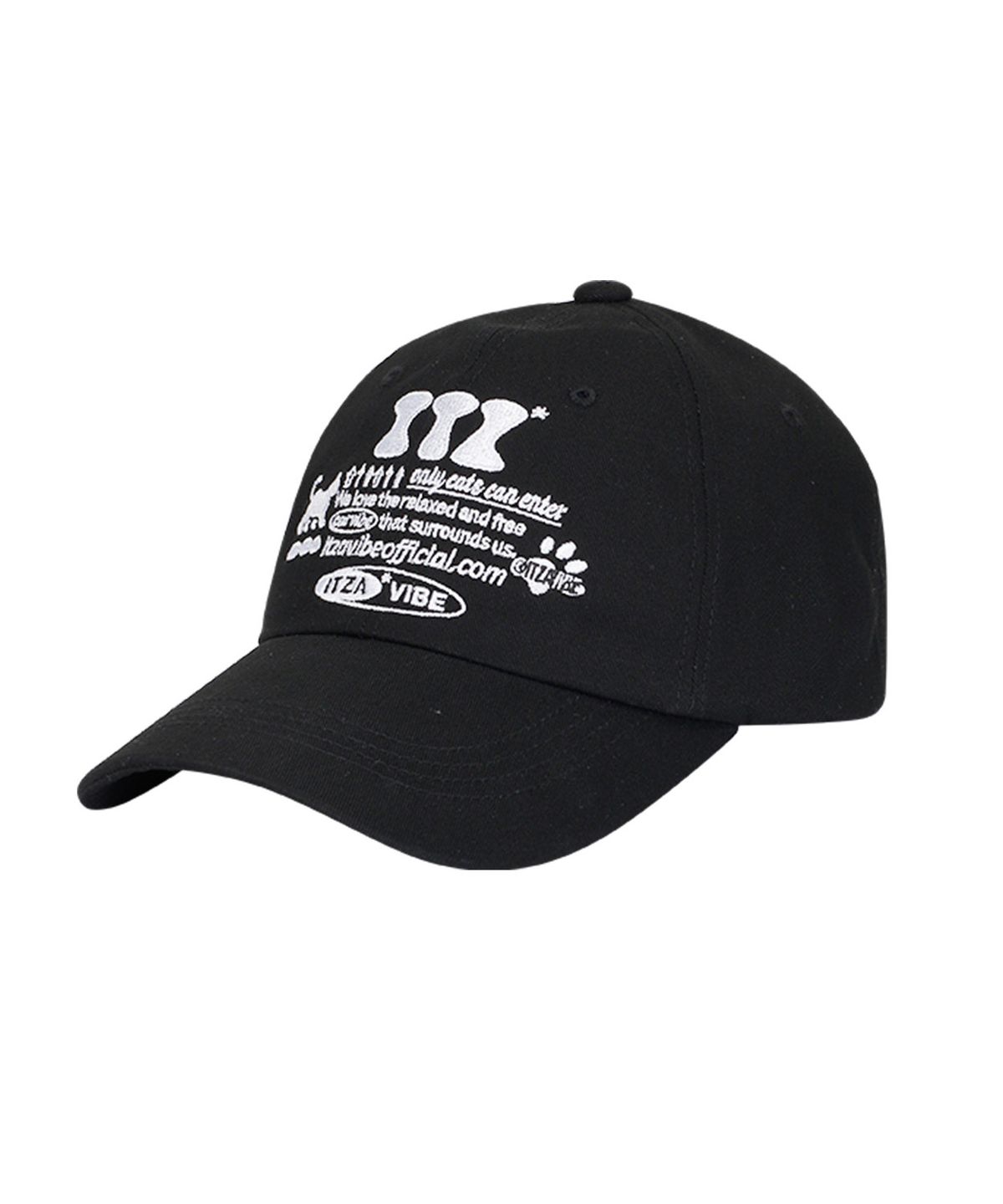 잇자바이브(ITZAVIBE) ITZ OFFICIAL LOGO BALL CAP - BLACK