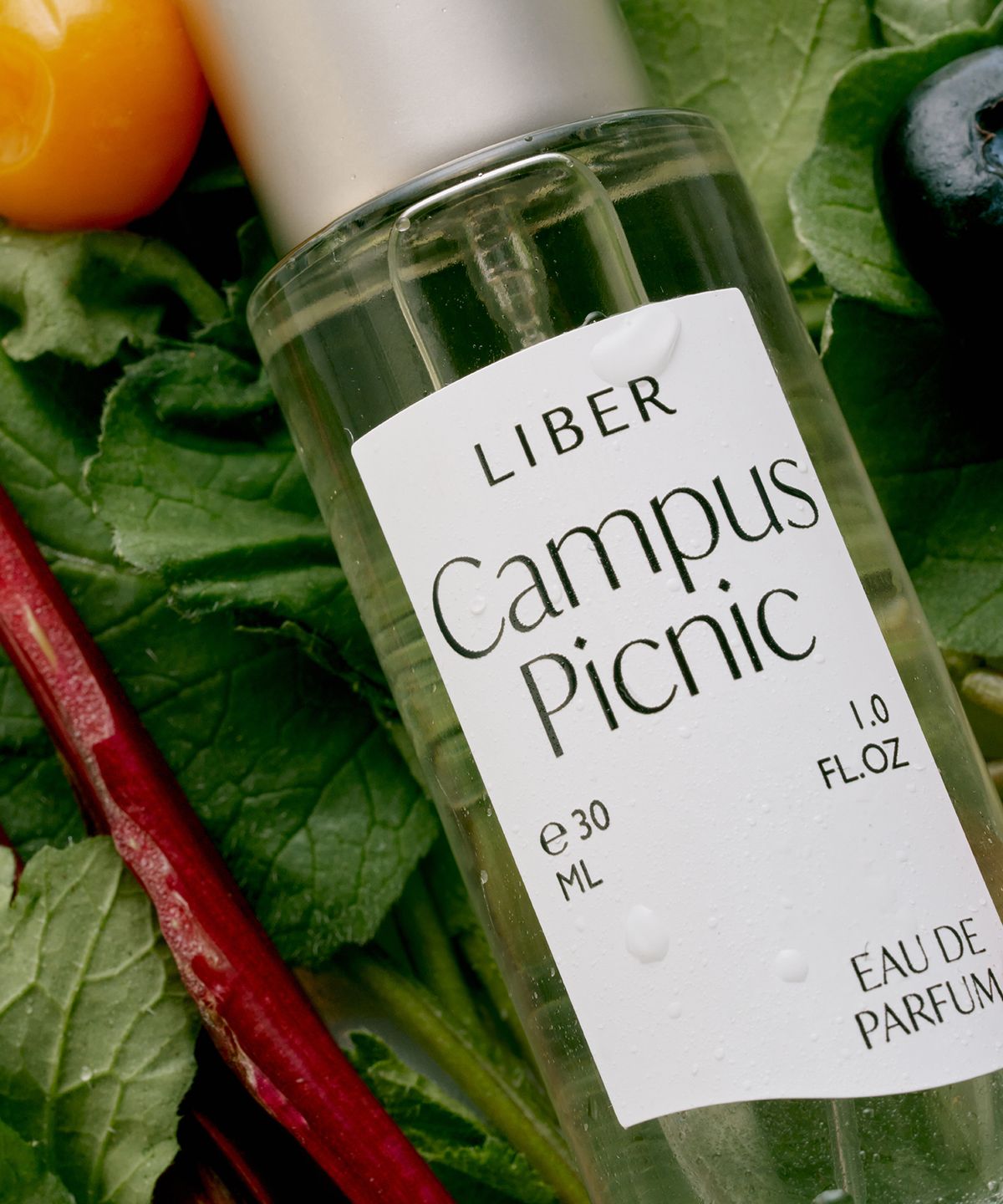 리베르(LIBER) [베리 향수] 오 드 퍼퓸 30ml 캠퍼스 피크닉 Campus Picnic