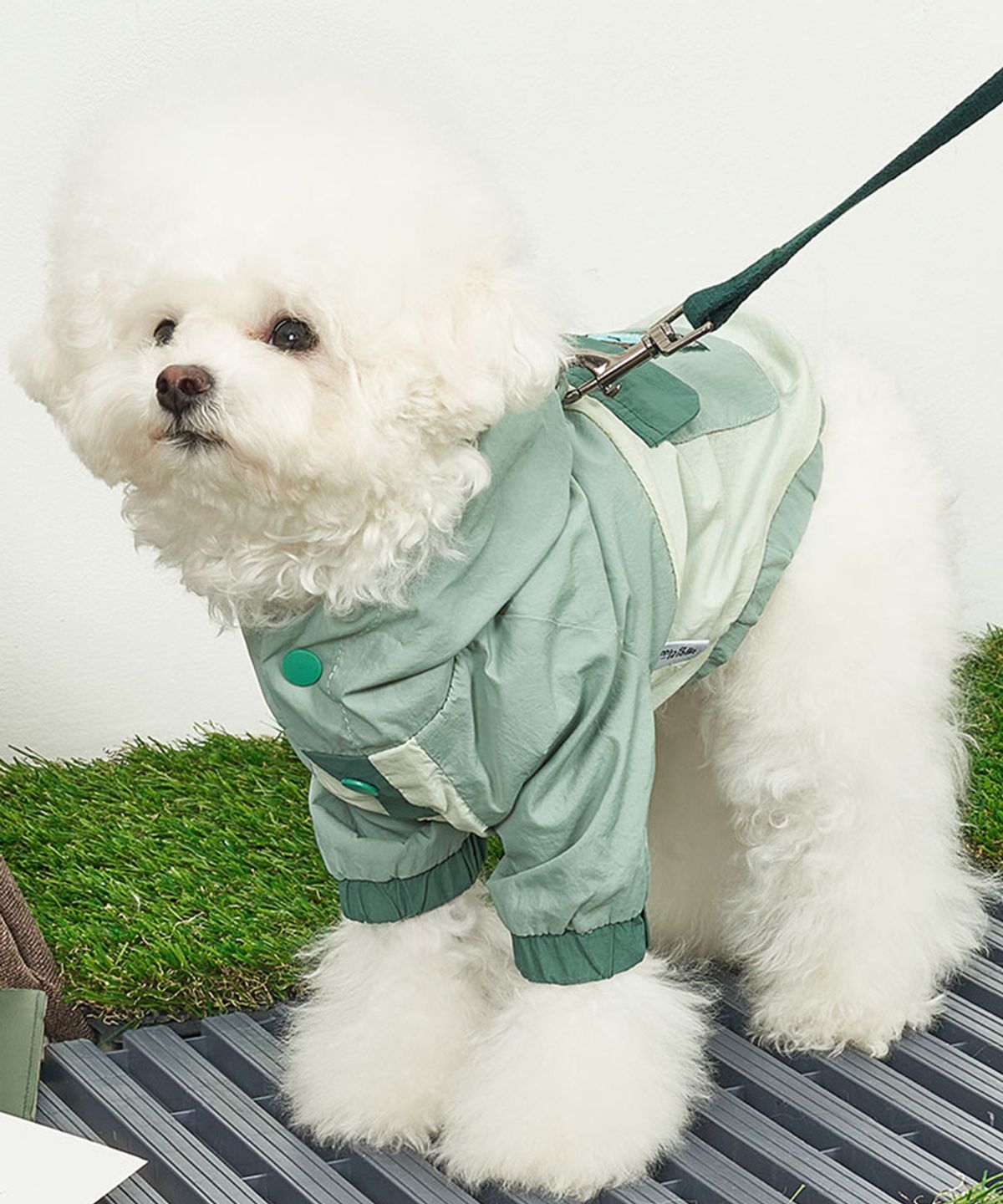 베일리(BAILEY) 강아지옷 아웃도어 아노락 바람막이 피스타치오