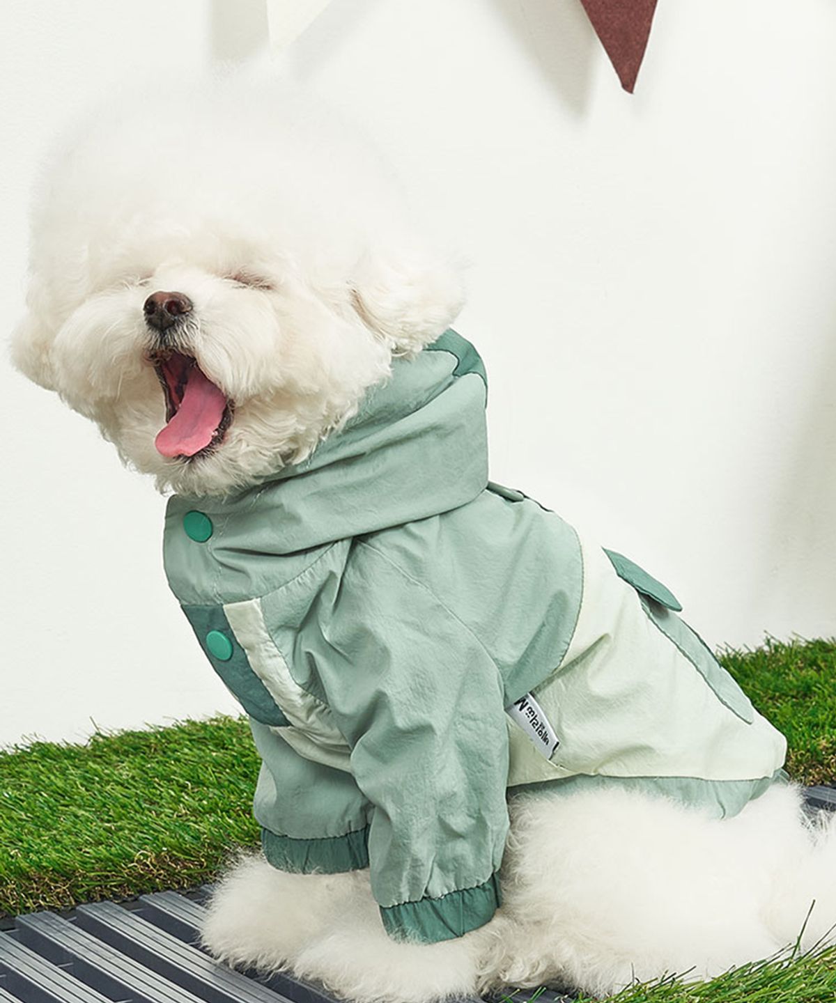 베일리(BAILEY) 강아지옷 아웃도어 아노락 바람막이 피스타치오