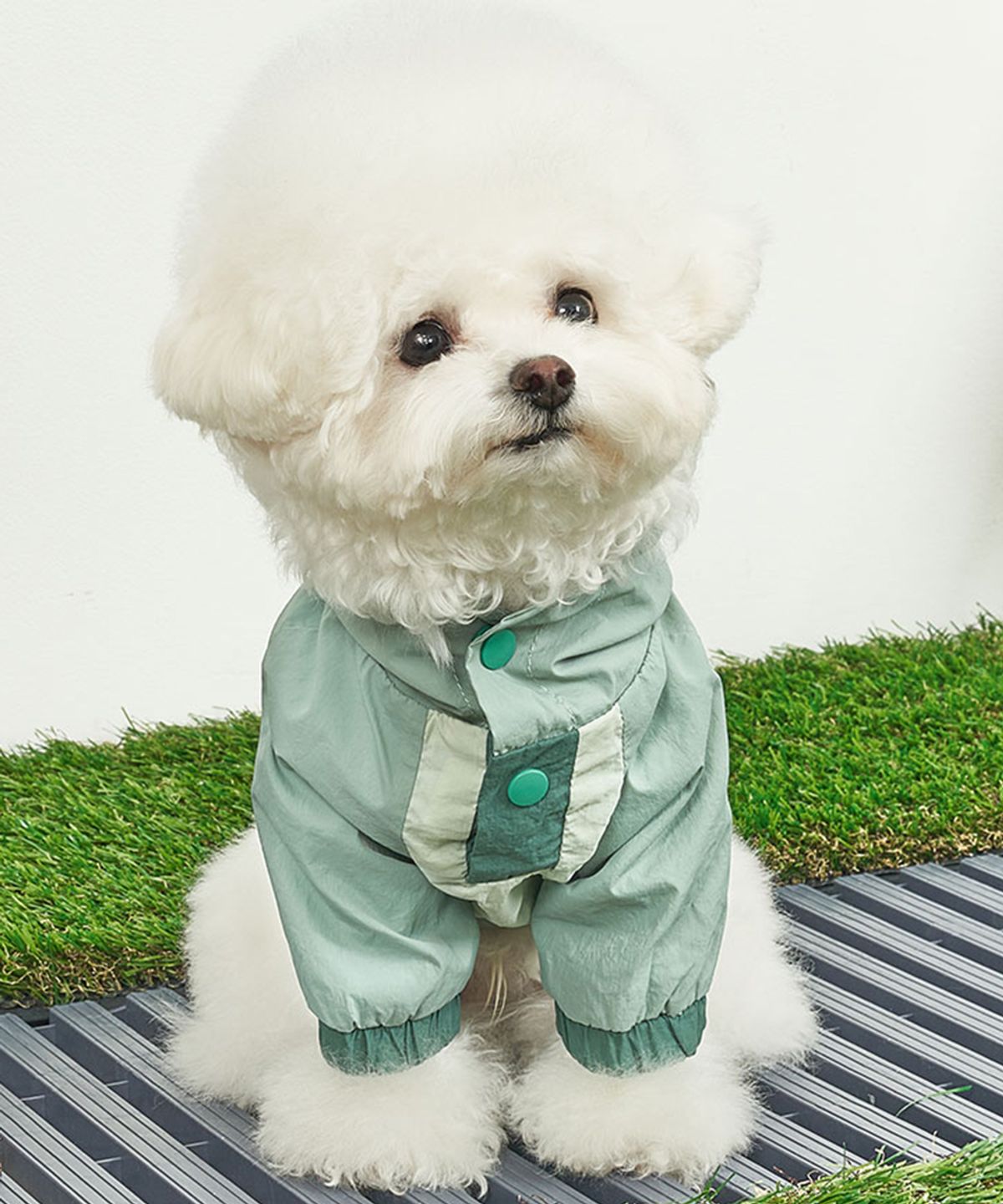 베일리(BAILEY) 강아지옷 아웃도어 아노락 바람막이 피스타치오