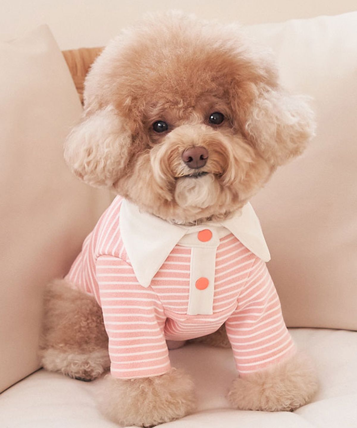 베일리(BAILEY) 강아지옷 실내복 로이카라티 코랄피치