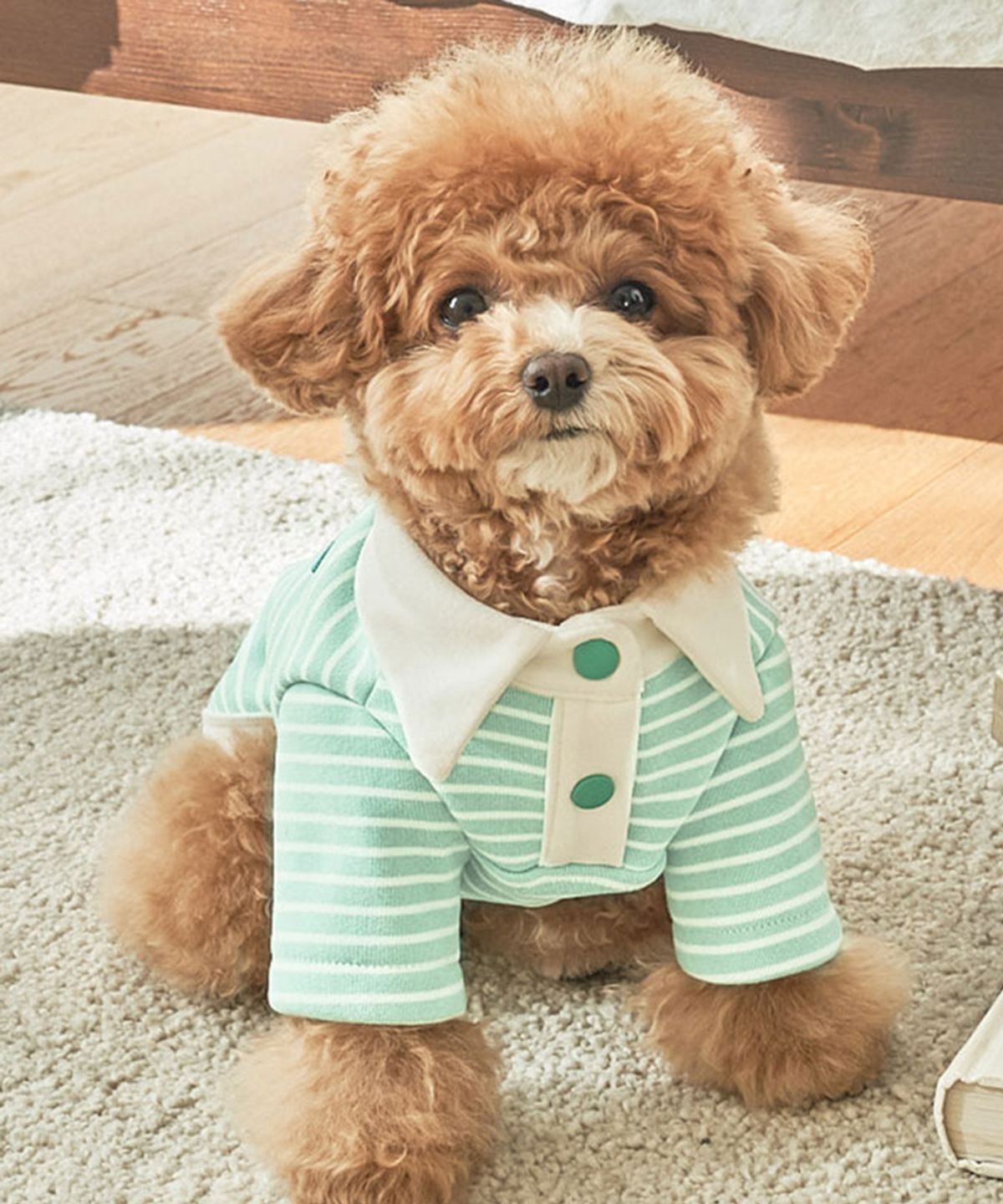 베일리(BAILEY) 강아지옷 실내복 로이카라티 민트멜론