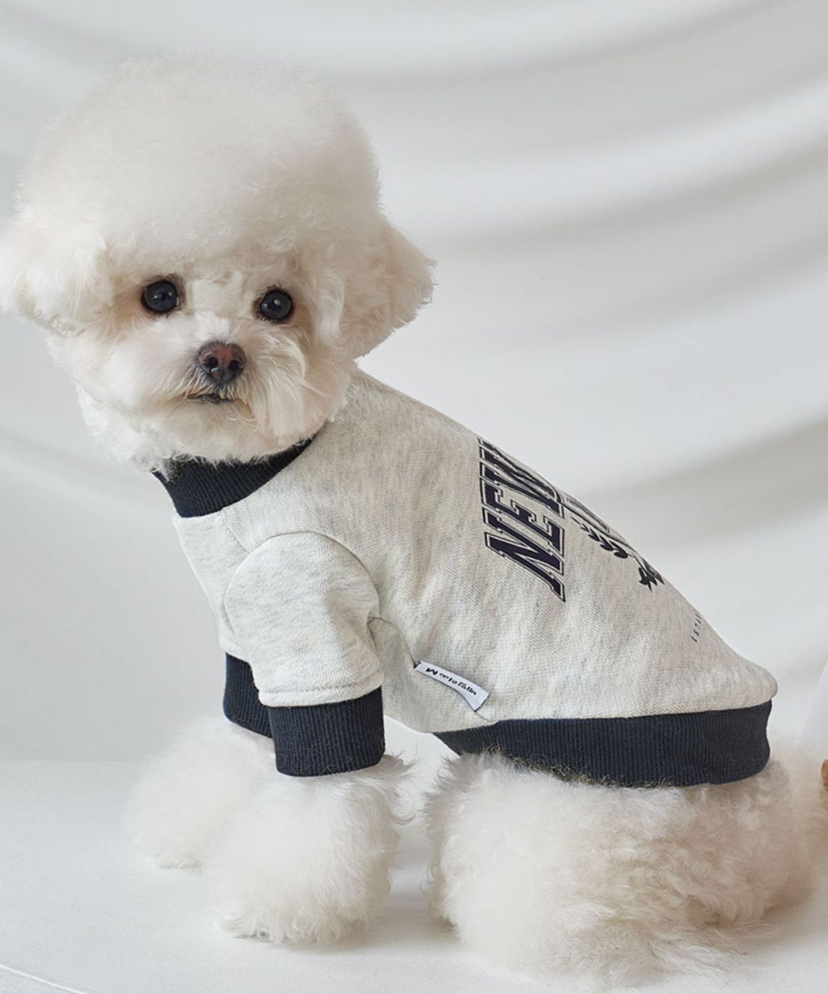 베일리(BAILEY) 강아지옷 대학 맨투맨 티셔츠 네이비