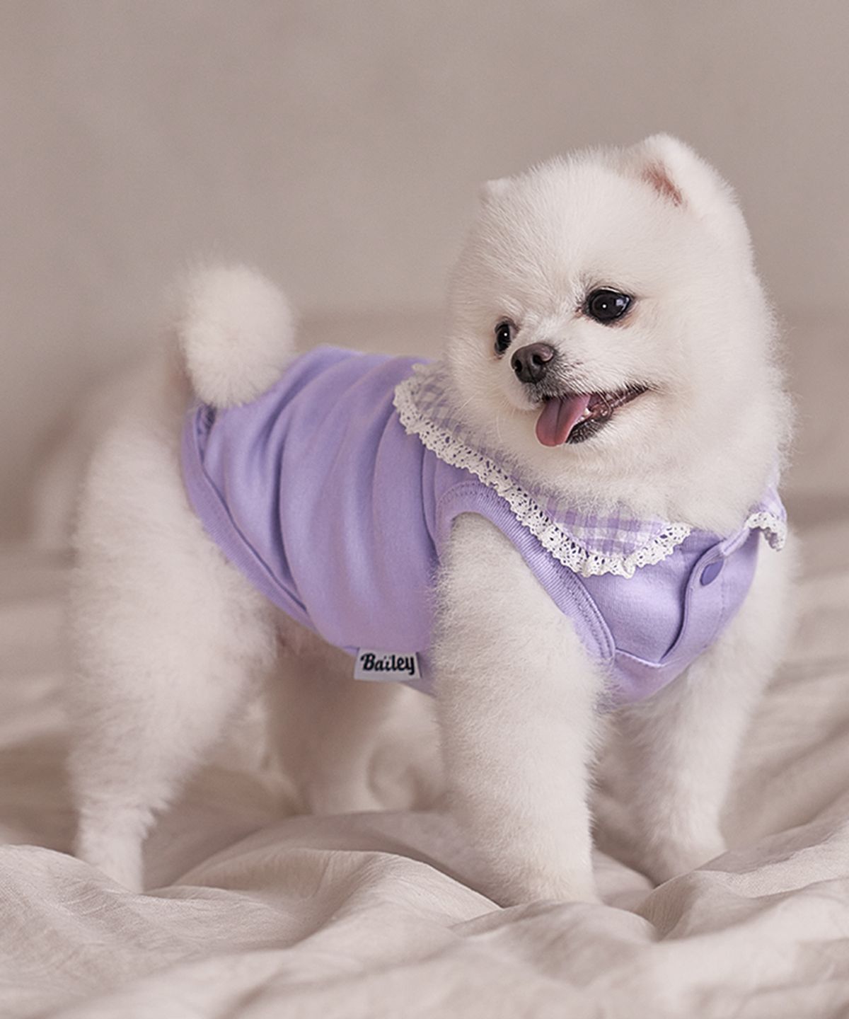 베일리(BAILEY) 강아지실내복 코지 세라티 라벤더
