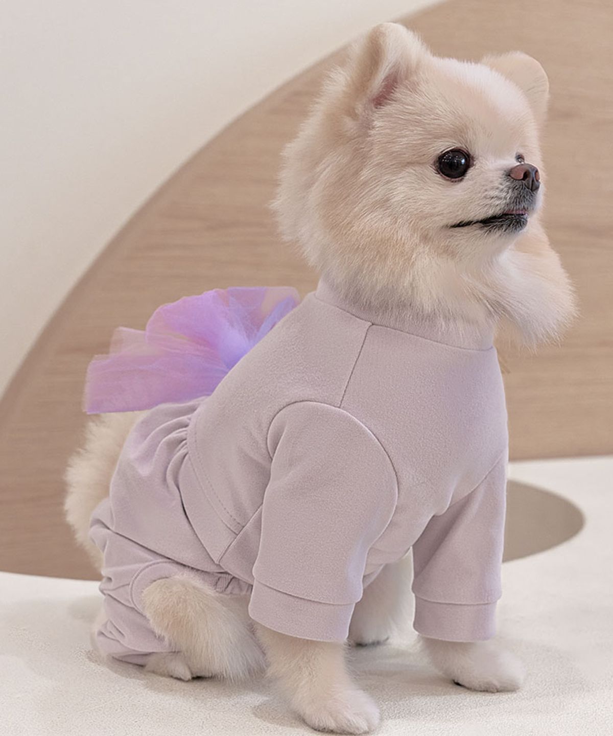 베일리(BAILEY) 강아지옷 이자벨 벌룬 올인원 라벤더
