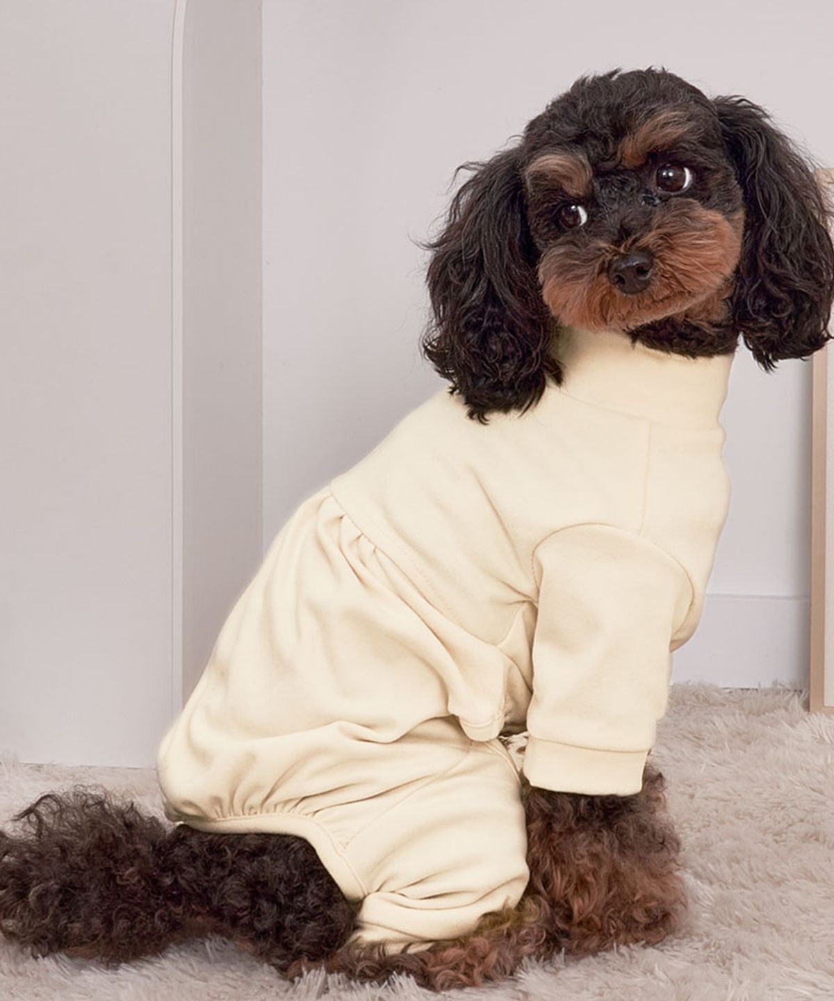 베일리(BAILEY) 강아지옷 이자벨 벌룬 올인원 크림